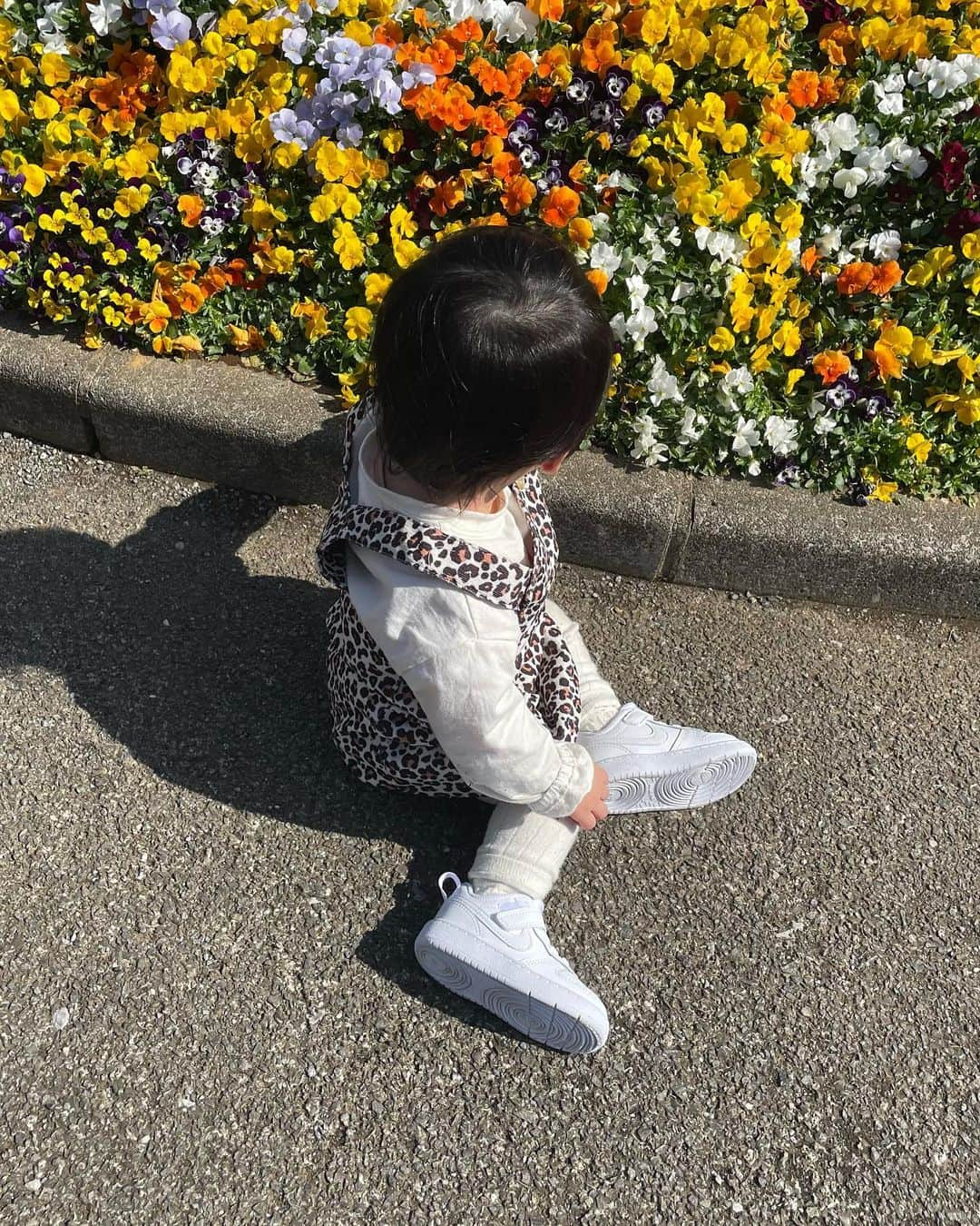 POCHIさんのインスタグラム写真 - (POCHIInstagram)「最近の娘👧🏻🌼  1枚目▶︎近所の公園🌸 2枚目▶︎ズーラシアの入り口🦁 3枚目▶︎ズーラシアの公園🛝  成長してBABY服からKIDS服に変わったり靴が履けるようになってお洒落出来るようになったから楽しい🥰🌟  よくお義母さんや母親が一緒に選んでプレゼントしてくれる🥲💛  #1歳 #1歳2ヶ月 #女の子 #子供服 #babydoll #子供靴 #nike #adidas #stansmith #stansmithcrib」3月30日 19時37分 - pochi.official