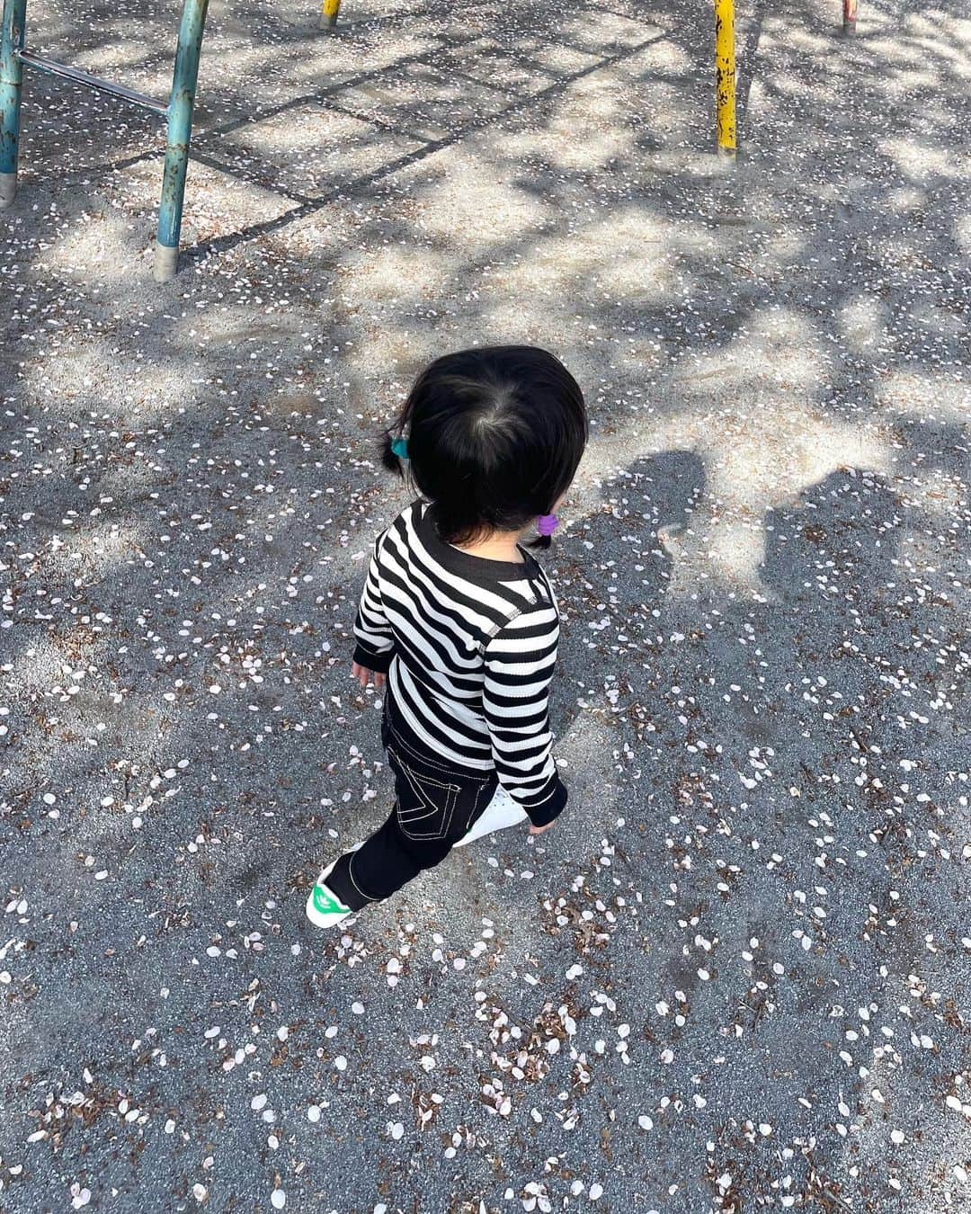 POCHIのインスタグラム：「最近の娘👧🏻🌼  1枚目▶︎近所の公園🌸 2枚目▶︎ズーラシアの入り口🦁 3枚目▶︎ズーラシアの公園🛝  成長してBABY服からKIDS服に変わったり靴が履けるようになってお洒落出来るようになったから楽しい🥰🌟  よくお義母さんや母親が一緒に選んでプレゼントしてくれる🥲💛  #1歳 #1歳2ヶ月 #女の子 #子供服 #babydoll #子供靴 #nike #adidas #stansmith #stansmithcrib」