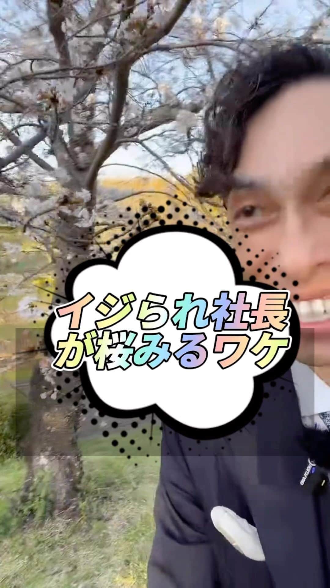 金谷一興のインスタグラム：「イジられ社長 が桜みるワケ  いつもコメ欄にイジられながら ライブ配信してます。  【定期】は平日16時30分から。 【不定期】もやってます。  ———————————— #社長#竪穴式住居 #桜スポット #ライブ配信#奈良観光」
