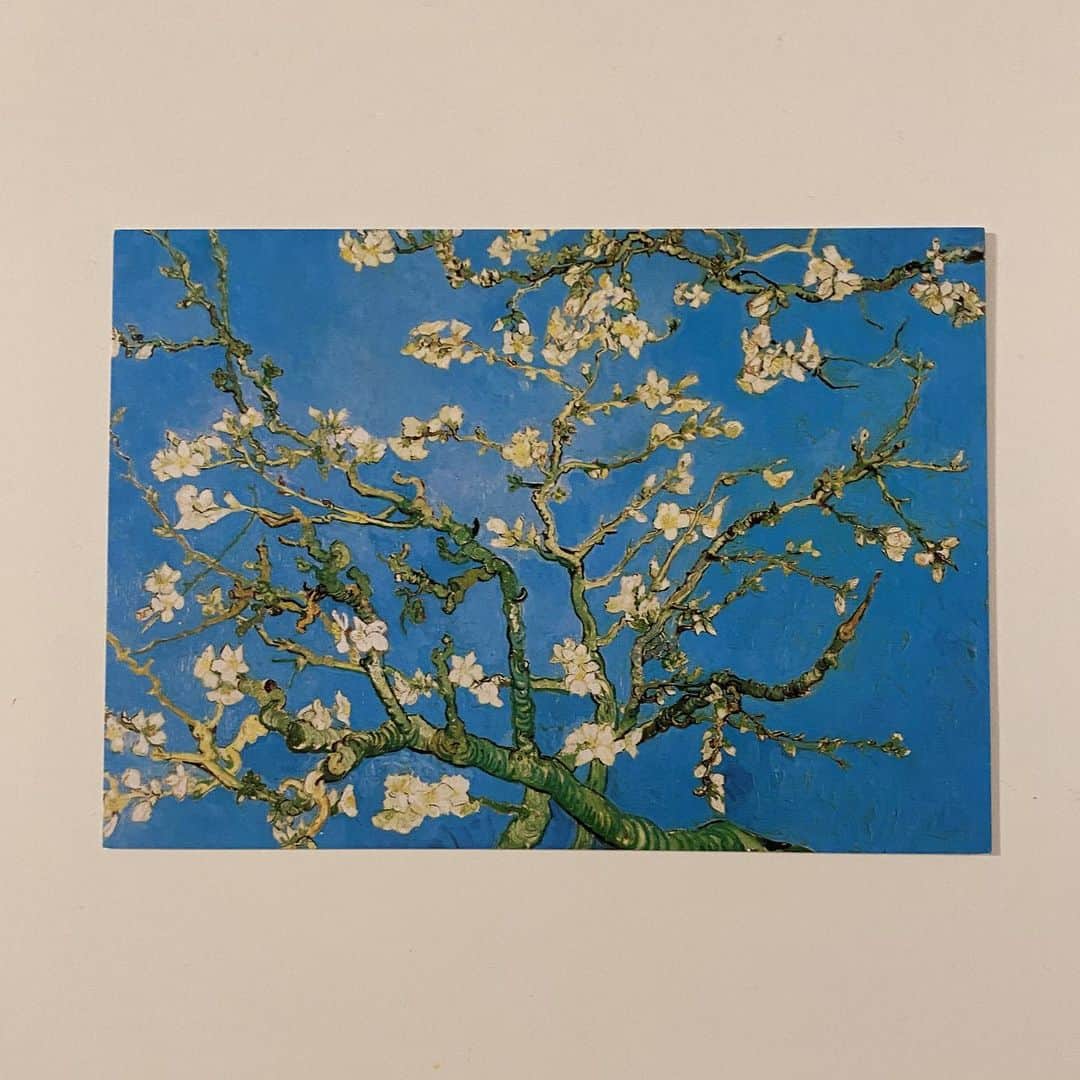 中西悠理のインスタグラム：「ちょうど今日は、画家ゴッホのお誕生日だそうなので🎂🎈 ゴッホが甥っ子の誕生を祝って描いた『花咲くアーモンドの木の枝』です。絵葉書を手帳に挟んでいるのですが、見るたびに目が浄化されるのです👀 アーモンドの花って桜とそっくりなんだと、この絵で知りました。時期も同じ頃に咲くみたいです。 なんか嬉しい😙」