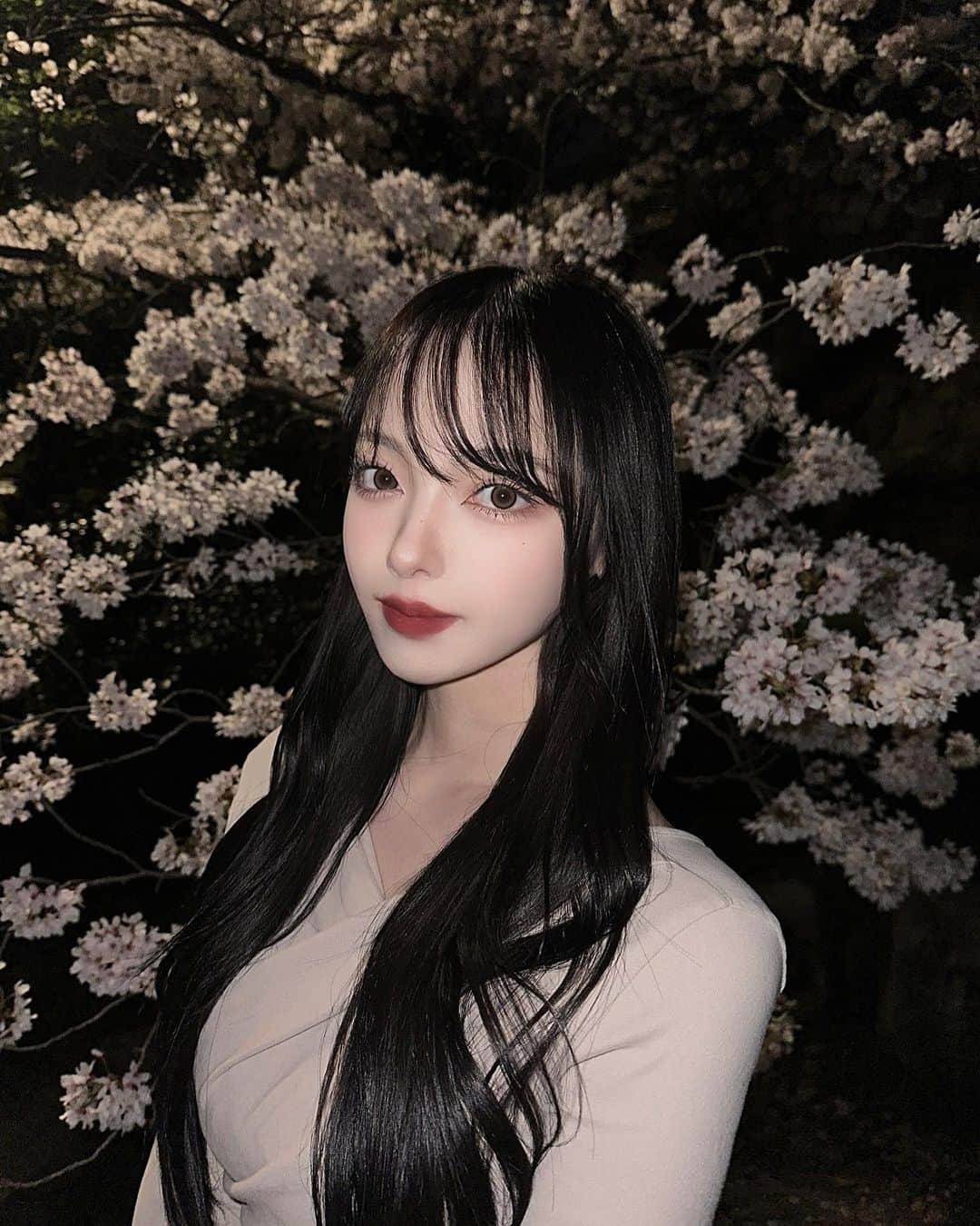 葉月ひまりのインスタグラム：「夜桜🌸」