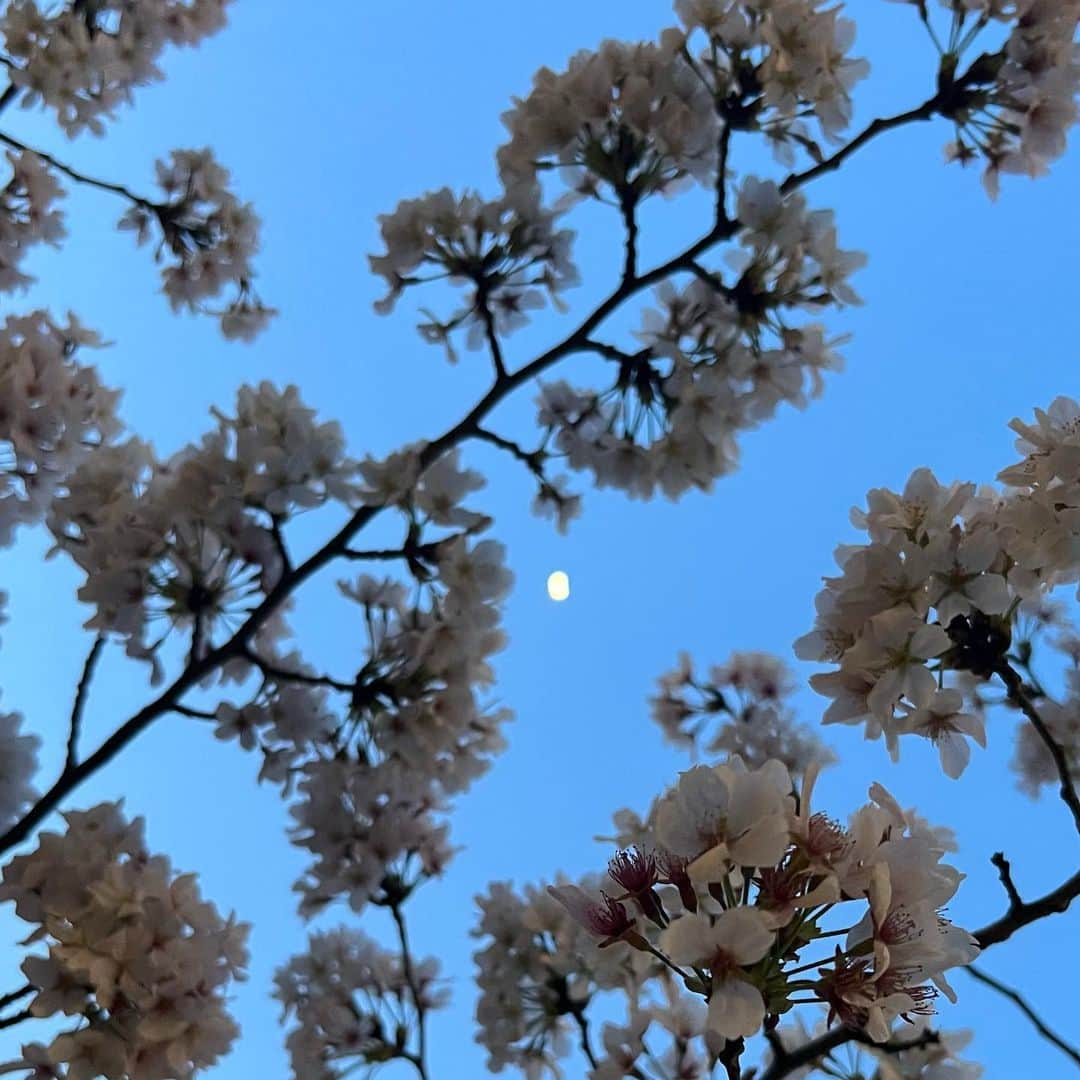 山尾梨奈さんのインスタグラム写真 - (山尾梨奈Instagram)「〻 花粉症です😵‍💫それでも春は好き！！ 私の爪にも花が咲きました💜  コメント欄に好きなお花の絵文字を送ってください！」3月30日 19時54分 - yamarina_1210