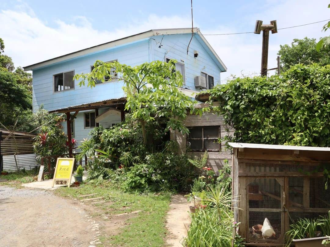 本仮屋リイナさんのインスタグラム写真 - (本仮屋リイナInstagram)「海のみえる天然酵母のパン屋さん、麦焼屋🍞⁡⁡ 優しい海を眺めながら、⁡ほっこり素朴で、しみじみおいしいパンをいただいただいて、幸☺☺⁡ ⁡ゆっくり深呼吸したくなる素敵なところでした。 ⁡#お庭にはめっちゃたくさんニワトリイナ🐔⁡ ⁡#お店にはニワトリの産みたて卵も並んでたよ🥚⁡ ⁡#石窯焼き #天然酵母 #パン #沖縄」3月30日 20時09分 - riina_motokariya