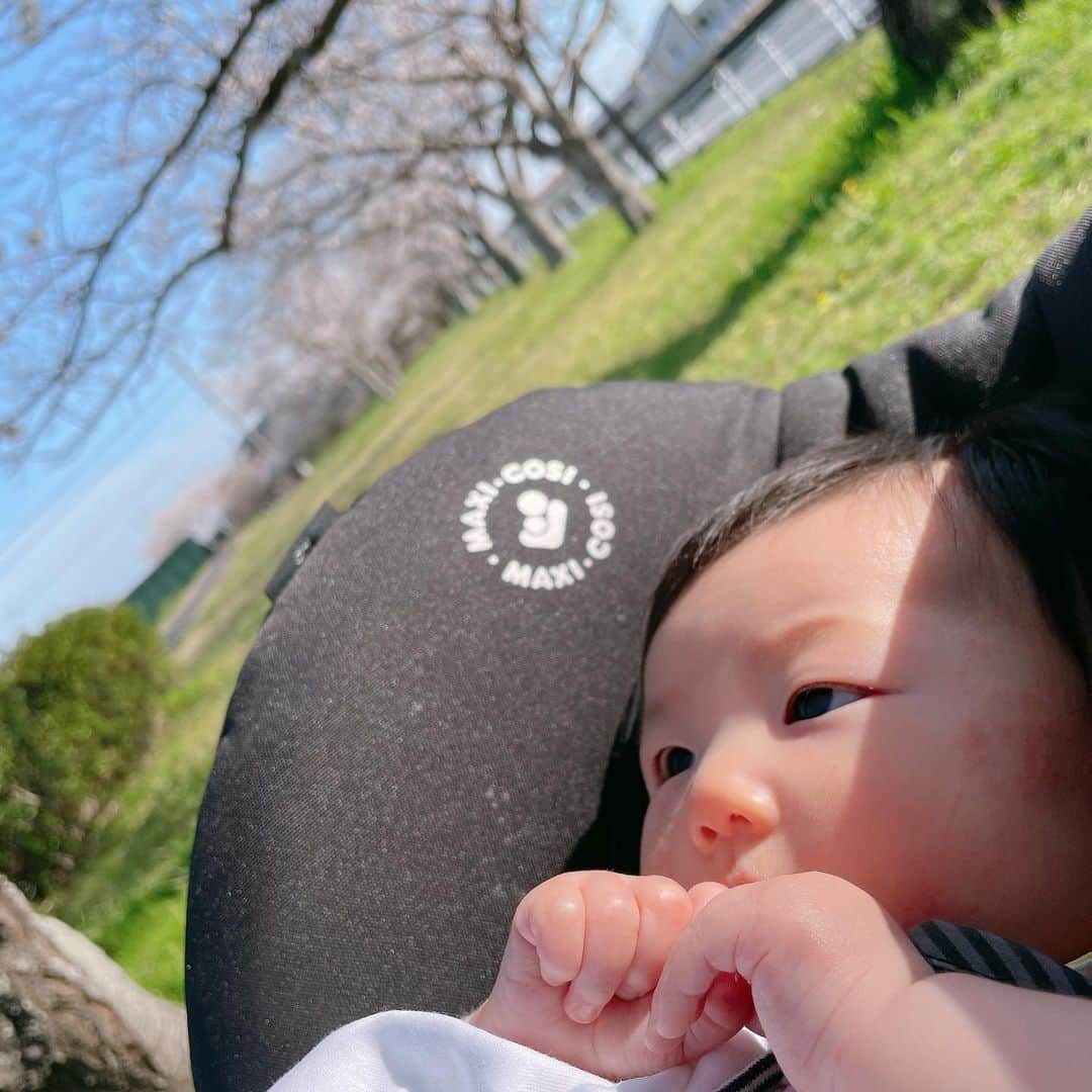 杉岡沙絵子のインスタグラム：「🌸🌸🌸 　 　 桜が満開☺️ 　 去年の今頃はつわりでゲロゲロで（笑） 桜なんて愛でる余裕もなく 毎日早く時が過ぎろと念じながら 上の子の最低限のお世話をし いっそのことつわりが終わるまで 眠らせ続けてもらえないかなとか ひたすら［つわり　いつ終わる］ ［つわり　楽になる方法］ ［つわり　ツボ］とか調べまくってたなぁ。 　 今なら笑い話だけど あの時はいつ終わるかわからないつらさに 毎日絶望していたし もう二度とこの気持ち悪さ（あと頭痛もひどかった、、） から解放されることはないんじゃないか って不安に襲われていました😭 　 っていうのを桜を見て思い出しました。笑 　 1年後、めちゃくちゃかわいい我が子と ベビーマッサージ楽しめてるよ だから頑張れ、と1年前の自分に声をかけたい！笑 　 　 今つわりで毎日絶望している妊婦さん、 いつか終わるから、必ず解放されるから 頑張らないでいいから 1年後はかわいいbabyに振り回されながらも 楽しい毎日が待ってるから どうか少しでも心穏やかにすごせますようにー！！ 　 　 　 これからも桜を見ると あの気持ち悪い日々を思い出すでしょう。笑 　 　 ・ ・ #つわり#つわり地獄#つわり対策  #つわり辛い#眠気づわり#食べづわり#吐きづわり #食べづわり#よだれづわり#全部経験した #妊婦さんへエールを#勝手に笑 #桜#満開」