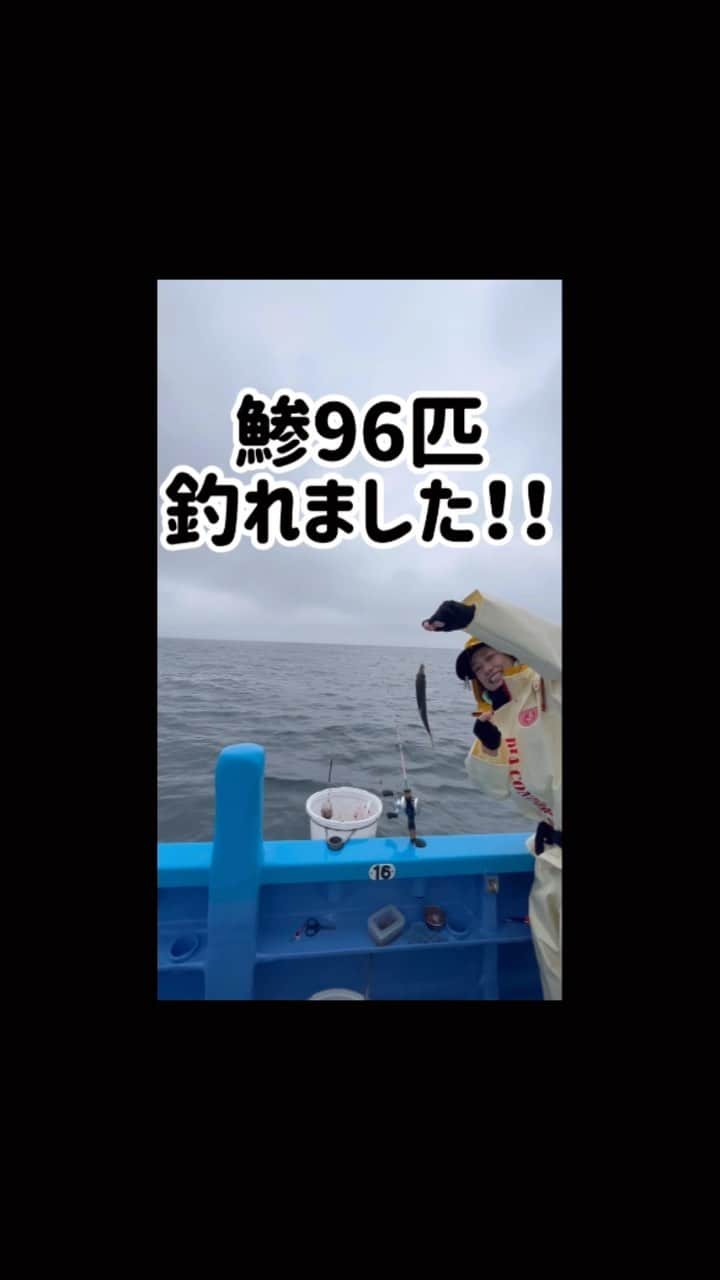 彼方茜香のインスタグラム：「アジ釣り♥ 東京湾初のアジ釣りがずーーーーっと釣れ続けてて まーまーな雨なのにやめられなかった(笑) なのに目標100匹ならず！ ロッドは持ち合わせのライトジギング用と いろんな釣りに大活躍のbeatロッド·͜·  リールも持ってるベイトリール2台に 2号と1.5号のPEに8号のリーダー巻き直してー 仕掛けはダイワのアジビシ3本針！針のサイズ大事！ ビシカゴは船で借りて、重りは40号だった♪ エサは青イソメ、イカタン、パワーイソメ。 よく聞かれるけど、いろんなメーカー様にお世話になってますが、契約とかしておりません為、 自由な釣りスタイルでお届けしております(*^^*)v 楽しく美味しい魚が釣れればいいなぁと♪ でも、ちゃんとその釣りに合ったタックルを使うこと！ その釣りや道具に合わせた操作が出来てないと釣果は上手な人に引き離されるのは間違いないよねʅ(  ๑･᷄֊･᷅๑)ʃ 100匹目標の残り4匹だけまた釣りに来ます！と船長にお伝えしたので、次は4匹目標にアジが食べたくなったら行ってきます(笑)  #自由な釣り人  #久々の釣りが雨って  #みぽりん誘ってくれてありがとう  #きくりん仕掛け相談乗ってくれてありがとう  #次はイカ釣るぞー」