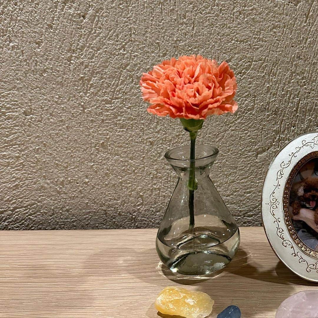 りこのインスタグラム：「たつやのお母さんにプレゼントしてもらったお花🌼 たつやが私に選んでくれるお花と似ててなんかほっこり😊🧡」