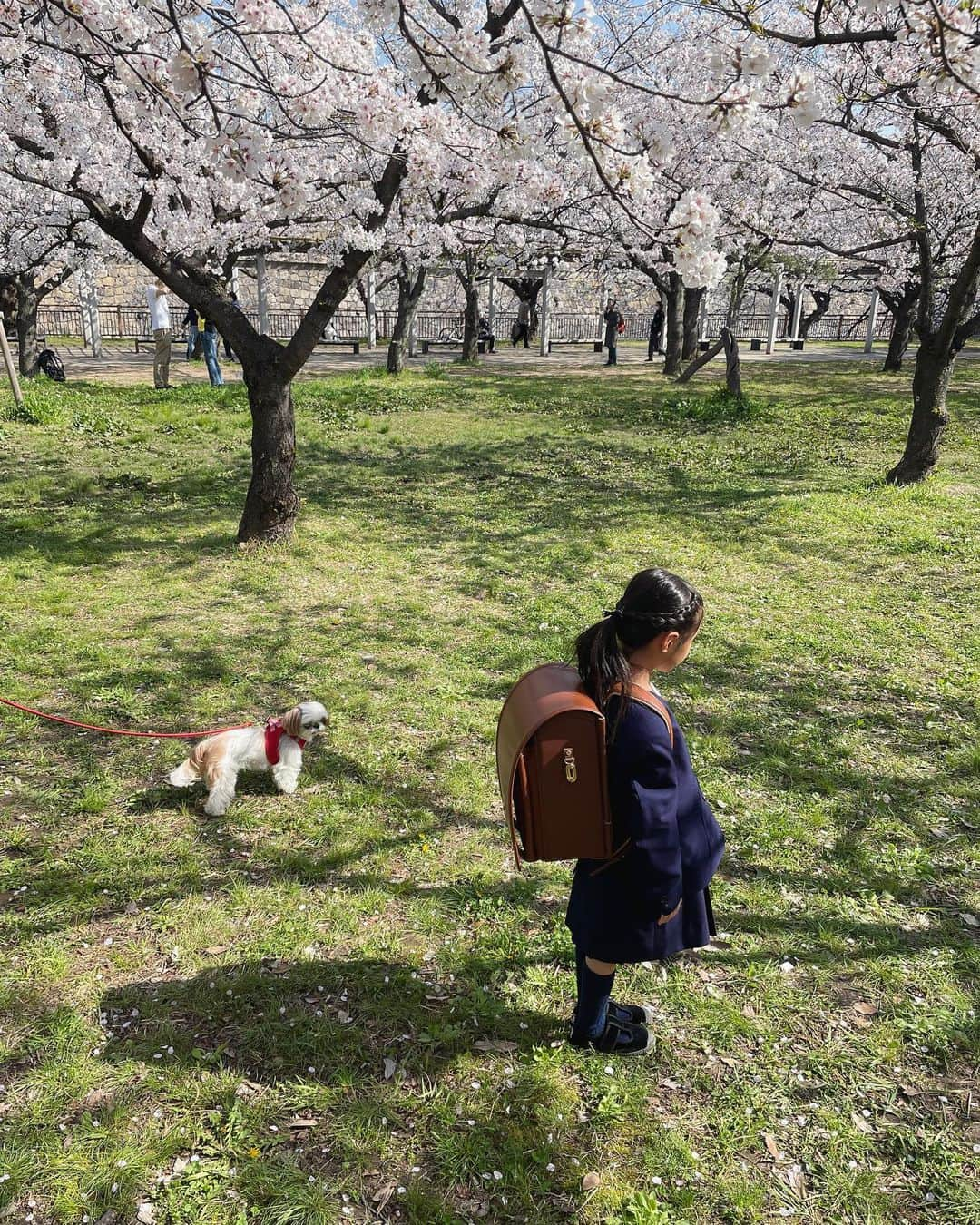 いりこのインスタグラム：「もうすぐ1年生👧🏻と お姉ちゃん7年目🐶」