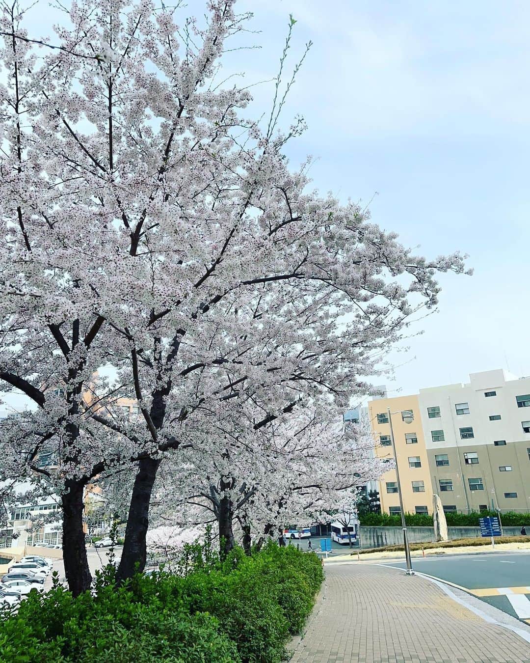イ・イネのインスタグラム：「이히히!! 이쁘당😘 요즘 학교오는 맛~~ㅎㅎㅎ」