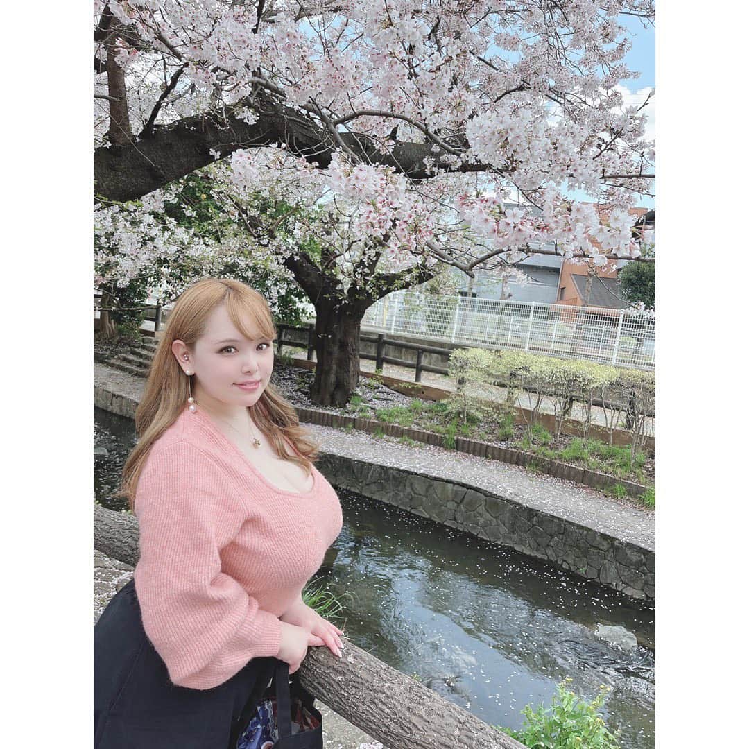 西村ニーナさんのインスタグラム写真 - (西村ニーナInstagram)「Cherry blossoms 🌸 beginning to fall but still beautiful 😉」3月30日 20時12分 - nishimura_nina