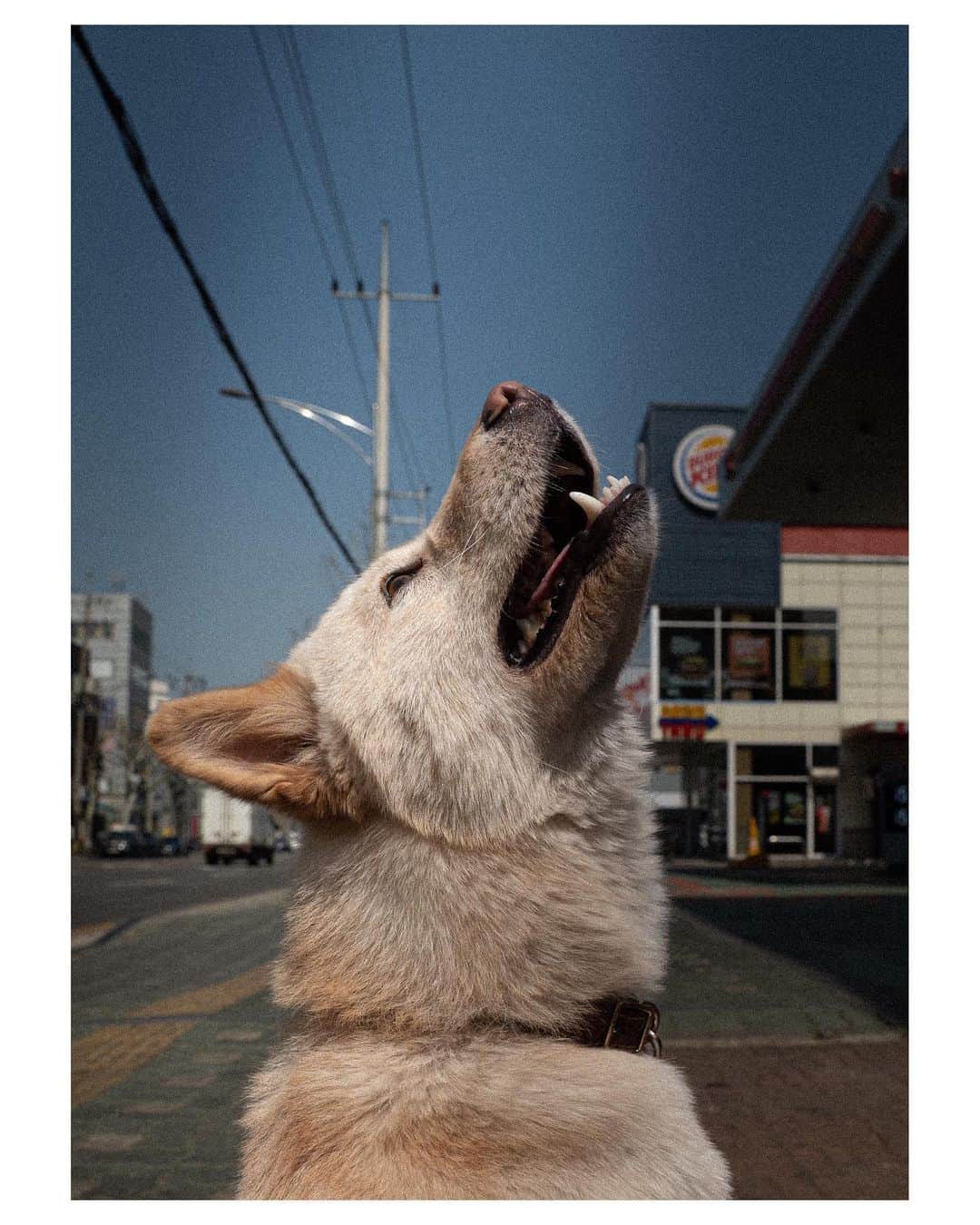 のインスタグラム