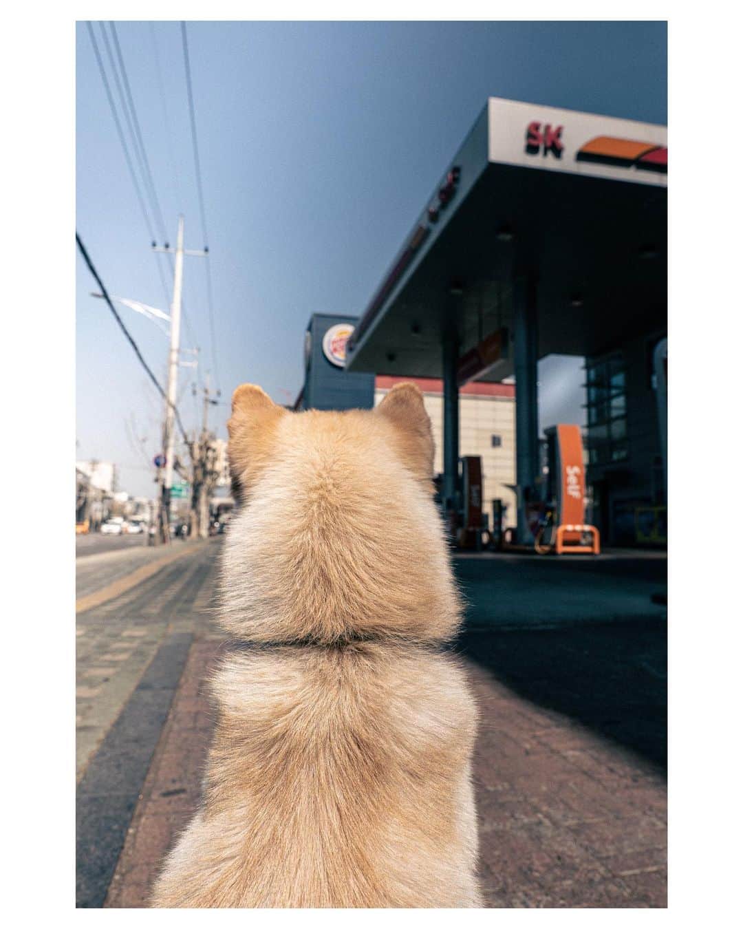 のインスタグラム