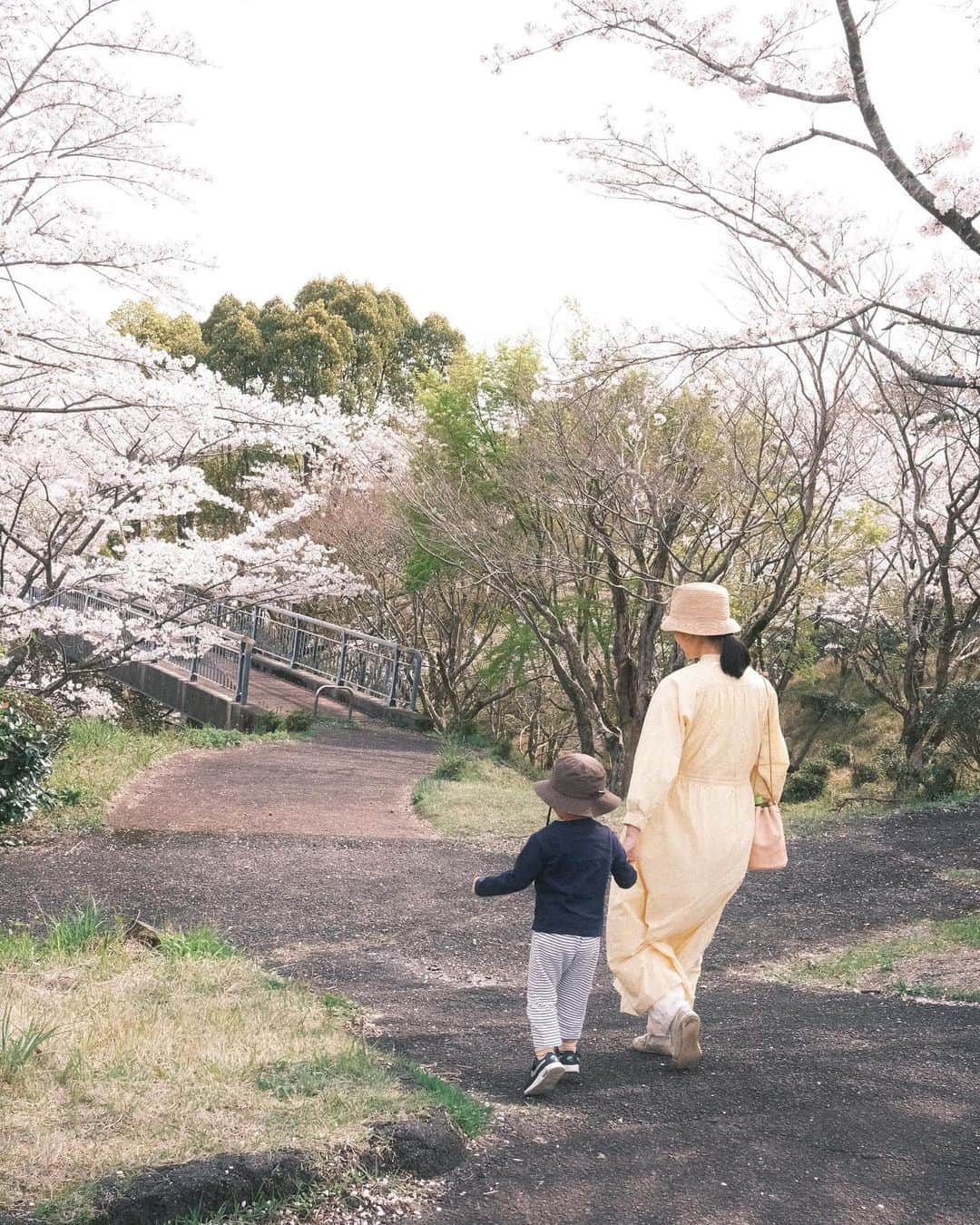 真央のインスタグラム：「先日は花見日和🌸 丸岡公園へ 桜がいっぱい！大満開✨✨ 大好きなゴーカートも桜街道🌸 ルンルンでまおちゃーーん！と 走って帰って来たまるの躍動感ったらね🤣💓  こんなに花見日和なのに人もあんまりいなくて 広〜いからこれまた都会では考えられないよね〜と。  気持ち良かったね〜✨✨ . . #お花見 #ピクニック #丸岡公園 #ゴーカート」