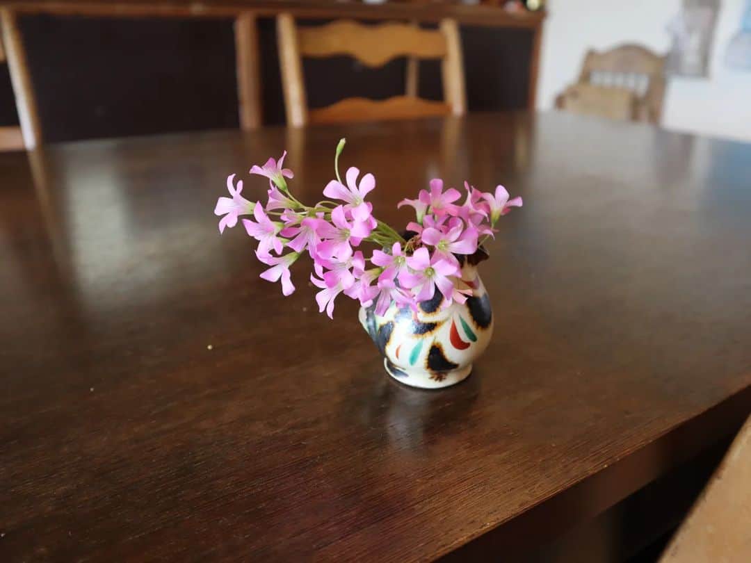 本仮屋リイナさんのインスタグラム写真 - (本仮屋リイナInstagram)「足元から、「はい、どうぞプレゼントですよ💐‪‪」と娘。⁡ ⁡ その⁡摘んだ野花をさっと花びんに生けてくださるお店の方の優しさに、ぐっときました🥲⁡‪  絵本やコマ、けん玉、お庭にはブランコ。ヤモリなどの生き物達もいて、こどもたちも大満喫でした🍃」3月30日 20時33分 - riina_motokariya