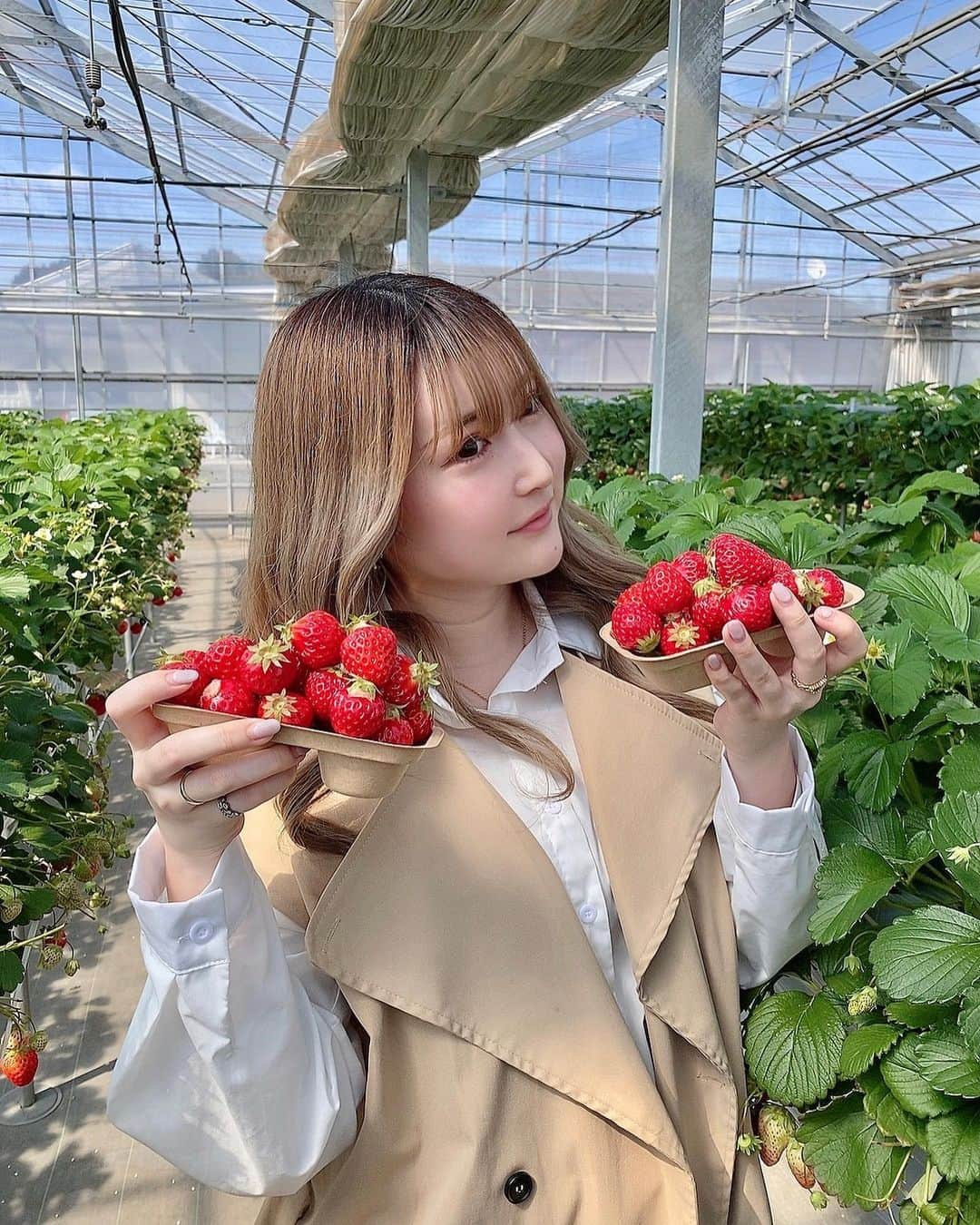 はづきてぃのインスタグラム：「・ 毎年恒例のいちご狩り🍓 いちご狩りは付き合ってから 毎年欠かさず行ってる🤣💓  今回は ソフトドリンク、どでか練乳1本、バニラアイス、 トッピングとか全部飲み食べ放題 までついたいちご狩りに行ってきた🍓 アイスとかトッピングでパフェ作ったり🍨🍓 最強すぎた♡♡♡ いちご狩り30分のとこ多いけど 50分ってゆーのもよかった💓 いちご狩りで初めて座りながらゆっくり食べた😂  また来年もここ行きたい🍓💓  #いちご狩り #いちご狩りデート #春コーデ #春デート #デートスポット #埼玉いちご狩り #苺の里 #苺の里西大久保店 #カップルデート #カップルの日常」