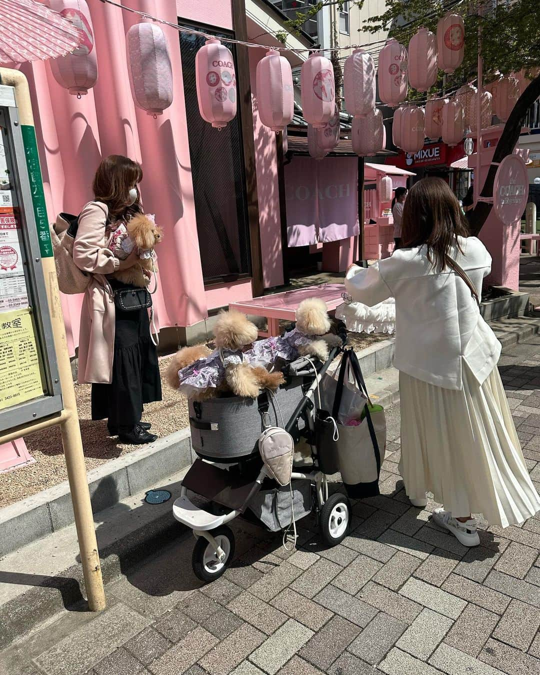 クリスティーナ・カレイラさんのインスタグラム写真 - (クリスティーナ・カレイラInstagram)「Tokyo🌸🍣💕 • • • • #sakura #tokyo #shinjuku #harajuku #spring #worldfigure」3月30日 20時48分 - christinacarreira