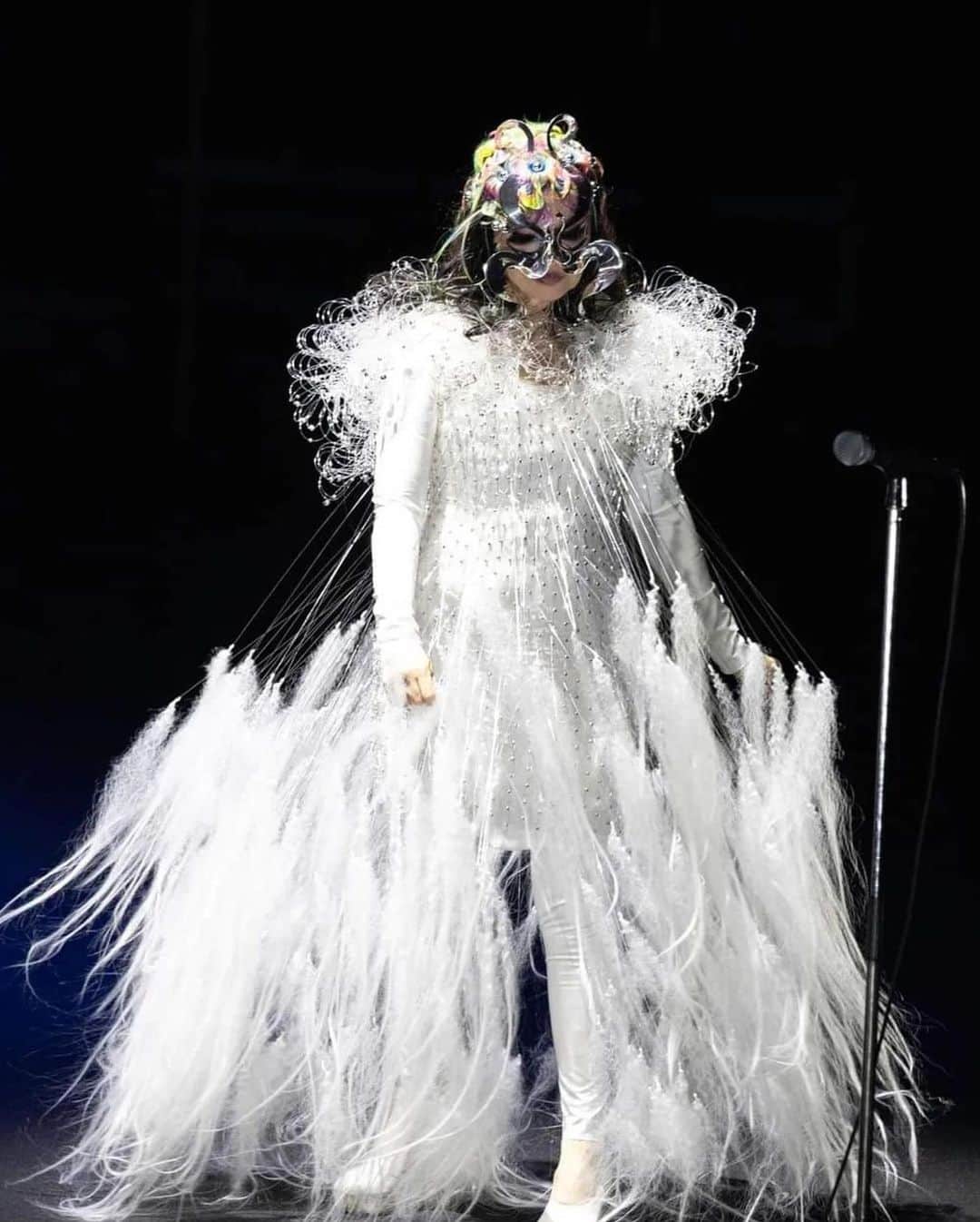 河野富広さんのインスタグラム写真 - (河野富広Instagram)「Fancy Creatures exclusively made for @bjork Kobe concert .   I got inspired by Drosera it’s type of carnivorous plant .  I have them in my Paludarium tank . They catch little fly so my plants tank is always clean .  Also one of my favorite film naussicaa  of the valley if the wind .  This creature has these elements. Tomorrow will be last concert 🎶 I’m so excited 😆  #tomikonowig#tomihirokono#konomad#björk」3月30日 20時48分 - tomikono_wig