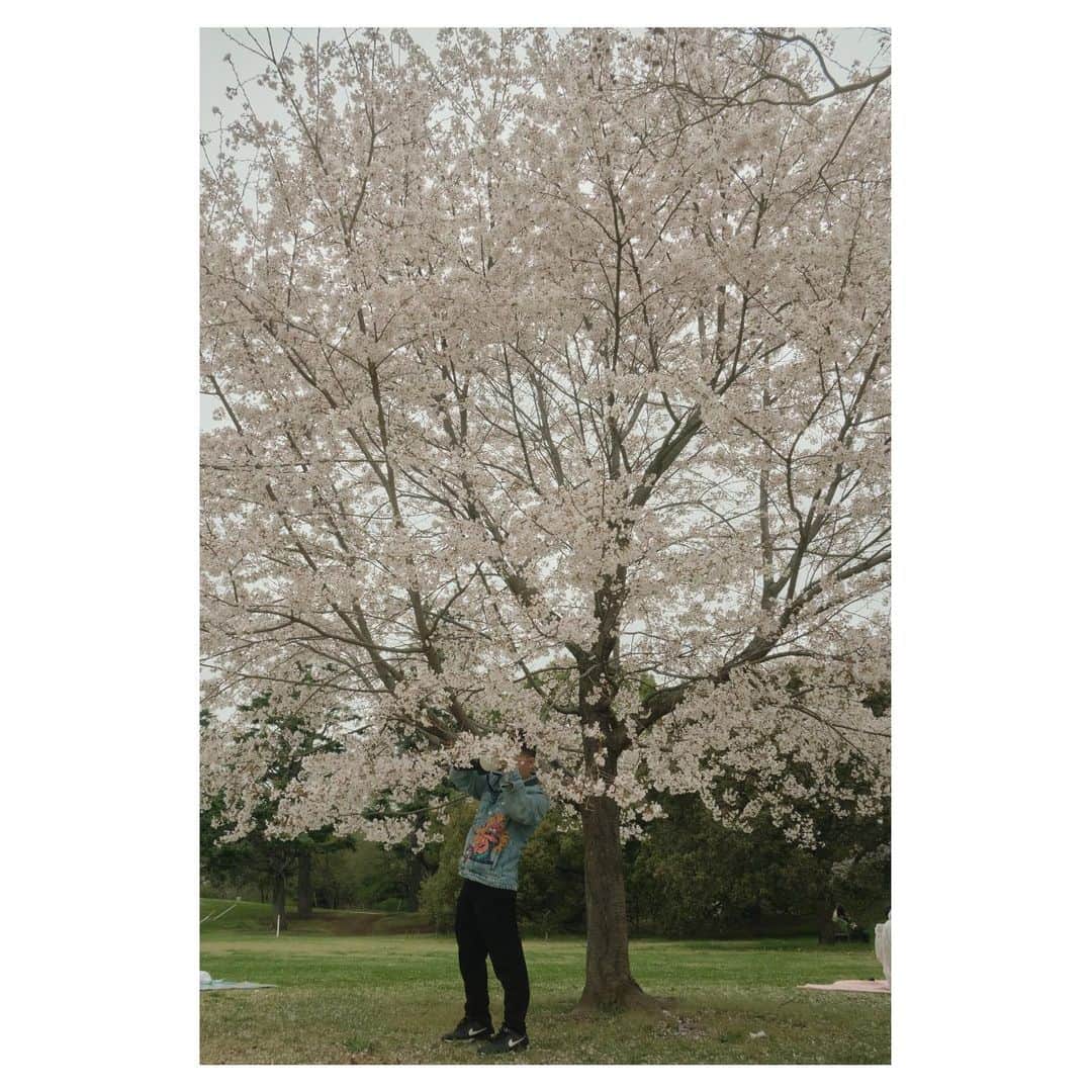 渋谷すばる（公式）さんのインスタグラム写真 - (渋谷すばる（公式）Instagram)「#photography」3月30日 20時56分 - subaru.shibutani.official