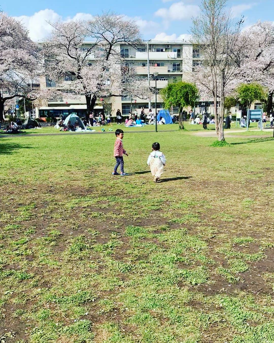 百千糸さんのインスタグラム写真 - (百千糸Instagram)「今日はいいお天気で絶好のお花見日和でした🌸 沢山遊びました^ ^」3月30日 20時57分 - junko_ichida