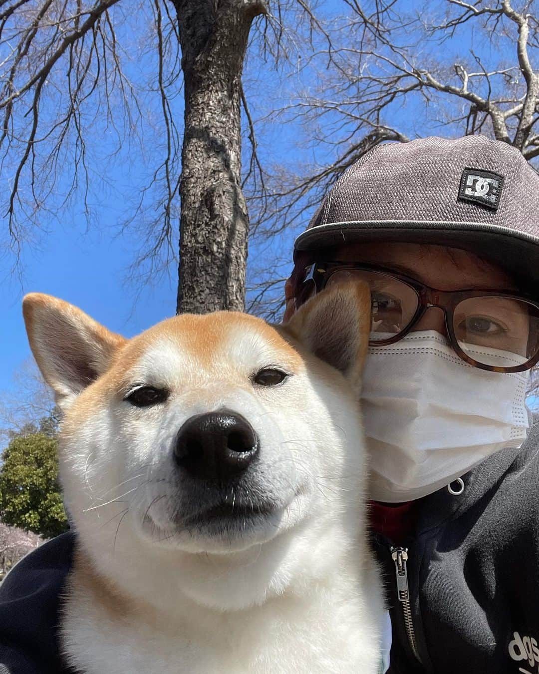 高橋みゆきのインスタグラム：「花粉の中お散歩🌲少し落ち着いてきたかなぁ。。。🤧🤧🤧」