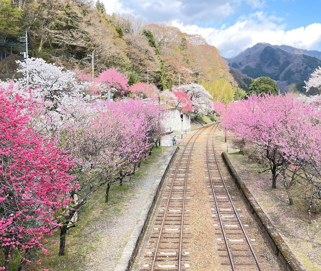 富所哲平のインスタグラム