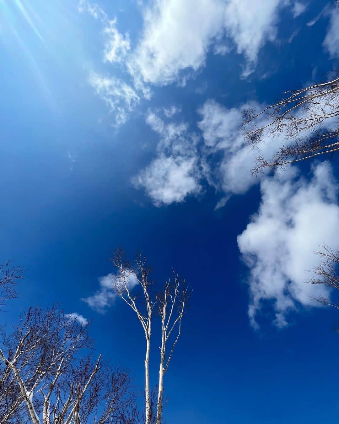 田中大貴さんのインスタグラム写真 - (田中大貴Instagram)3月30日 21時06分 - daiki.tanaka24