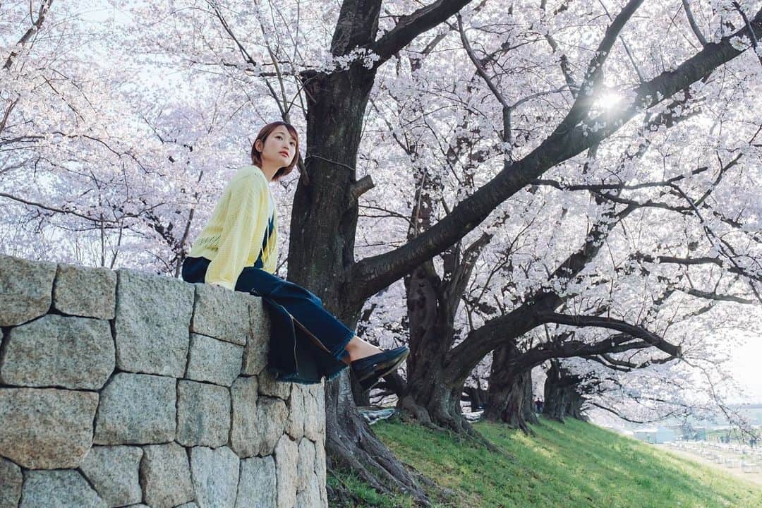 山中日菜美さんのインスタグラム写真 - (山中日菜美Instagram)「満開の桜と🌸」3月30日 21時23分 - hnm__n