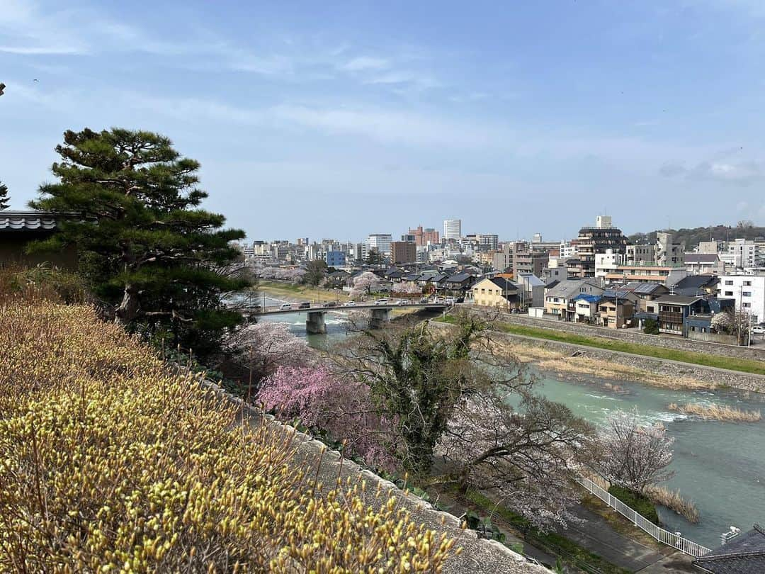 南早苗さんのインスタグラム写真 - (南早苗Instagram)「先日のこと。 桜の開花を予想しながら 計画していた着物deランチへ🌸 私は仕事の都合で着物ではなかったけれど、 二人の春らしい着こなしに 「やっぱり着物はいいなぁ😌」と実感✨  話に花が咲きすぎて、この後ドタバタお茶の稽古へ 行くことになろうとは。。笑  石川県内、今年は開花してからもお天気が安定していて、 長く愛でることができていますね😌 今日は金沢で満開宣言も✨嬉しい🌸  #桜　#春　#春爛漫　#桜日和　#花よりだんご #着物deランチ　#ランチ　#金沢　#グルメ　#仁志川　#日本料理　#茶道 #裏千家」3月30日 21時23分 - minamisanae