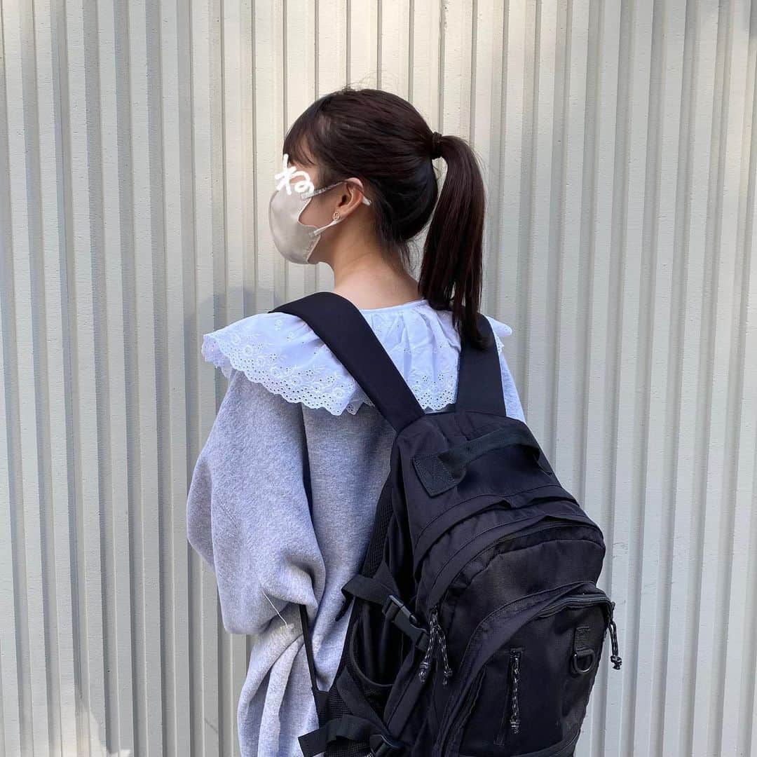 こねねこのインスタグラム