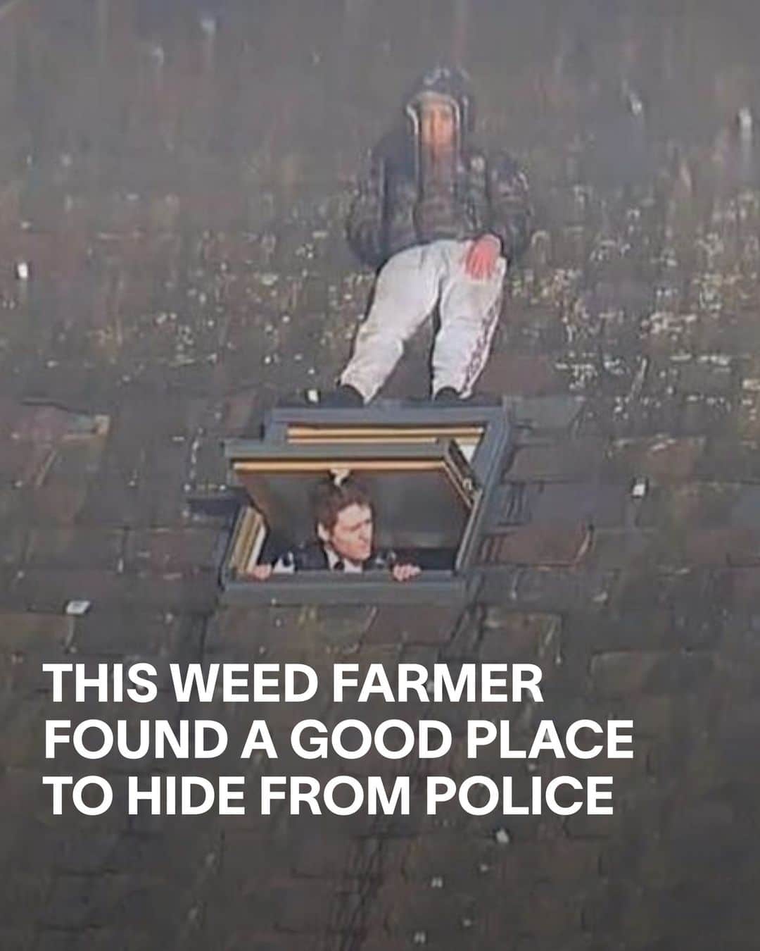 VICEさんのインスタグラム写真 - (VICEInstagram)「A guy involved with an illegal cannabis farm tried to flee police by hiding on a roof – as the photo above pretty vividly demonstrates. ⁠ ⁠ When police raided a house in Liverpool, England that contained at least 200 weed plants, Etmond Lika – who was living at said house – attempted to evade arrest by climbing through a skylight and hiding on the roof. Unfortunately for Lika, police eventually apprehended him and he was charged with the production of cannabis. ⁠ ⁠ The 32-year-old told police he’d come to the UK from Albania in search of better economic opportunities. He pled guilty to the charge and was sentenced to two years and four months imprisonment. ⁠ ⁠ Read more at the link in bio.⁠ ⁠ Photo: Crown Prosecution Service」3月30日 21時35分 - vice