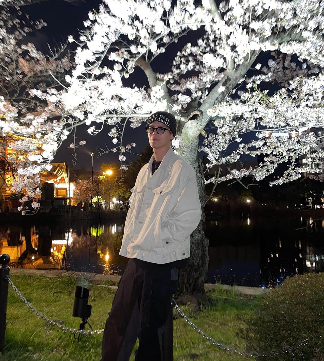 白鳥大珠のインスタグラム：「夜桜 散る前にみれてよかった🌸 #桜#夜桜」