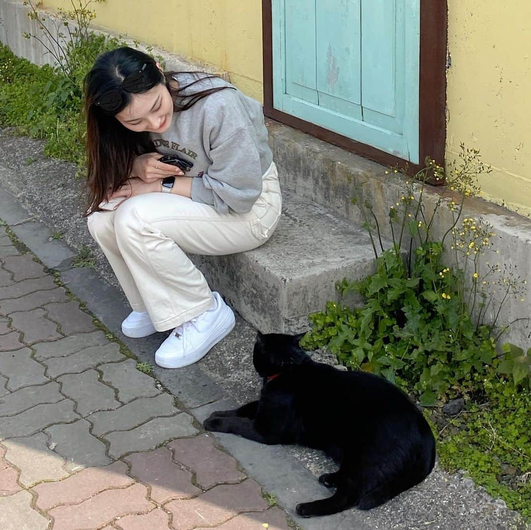 イ・ホジュンさんのインスタグラム写真 - (イ・ホジュンInstagram)「🍊🐱」3月30日 21時40分 - 315hojung