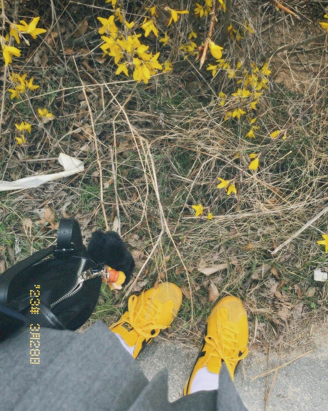 キム・ソンウさんのインスタグラム写真 - (キム・ソンウInstagram)「봄이 와꾸나 🌼」3月30日 21時47分 - seon_uoo
