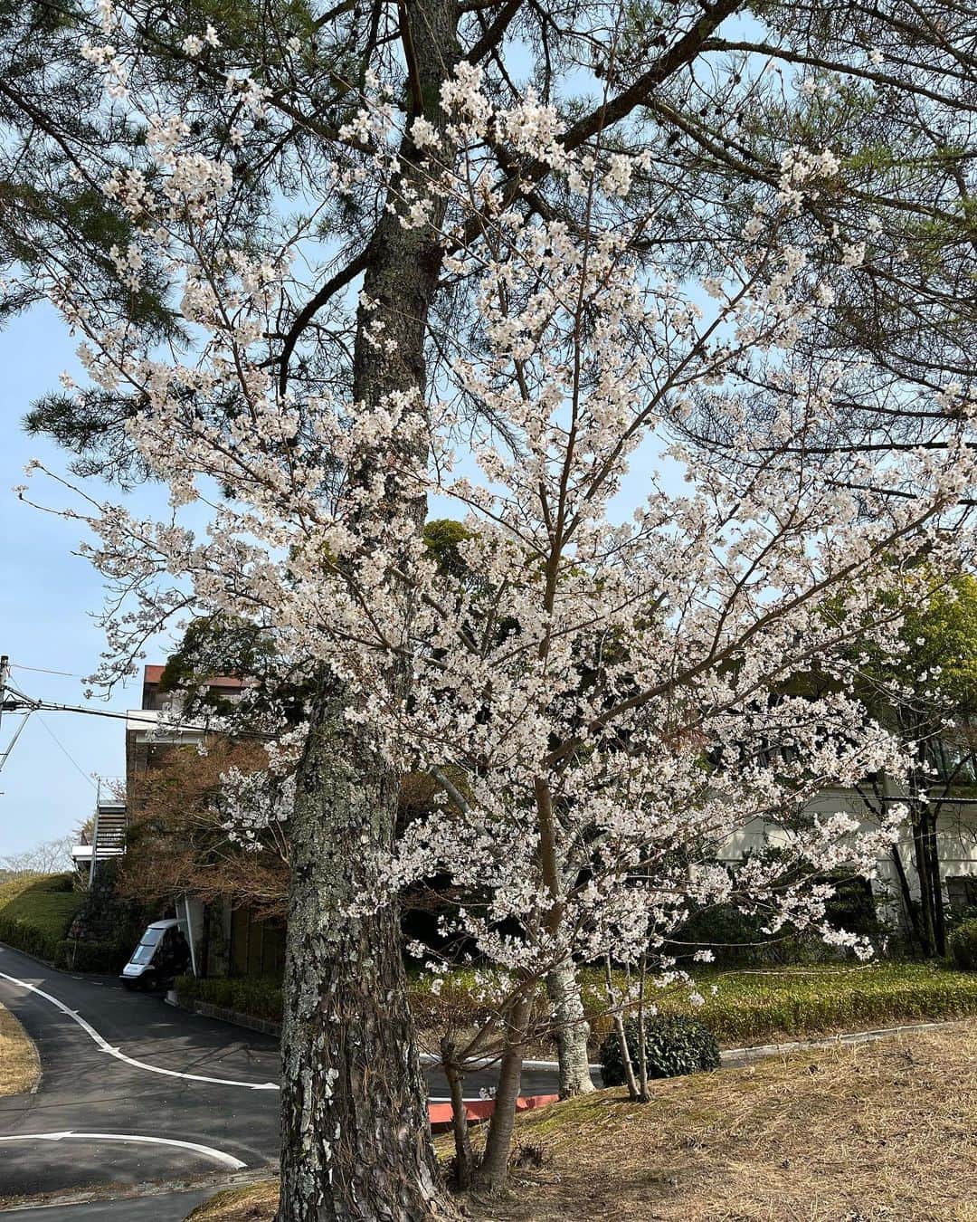徳原恵梨さんのインスタグラム写真 - (徳原恵梨Instagram)「今日は一年以上あいてしまったゴルフレッスン！一年もレッスンを受けていないと、どんどん自己流のスイングに。。。😭😭 忘れていた事が沢山あって反省💦💦色々教えて頂けてすごく実りあるラウンドになりました！！！ ⁡ チェック項目が沢山あっても、打つ瞬間っていくつも考えられないから1番意識するポイントだけはしっかりできるように🔥 ⁡ 崩れたスイングを正していけるように頑張ります✊ ⁡ そしてゴルフ場は桜が見頃😊💓 お花見ゴルフを楽しめました🌸 ⁡ 四季を感じられるのもゴルフの魅力ですよね😊🌸🌴🍁❄️ ⁡ ⁡ 沢山動画撮っていただけたので載せてみます☺️ 最後のはオチの超トップ！😵笑　こんなこともありますよね〜？？😂😂 ⁡ ⁡ #ゴルフ #ゴルフ女子 #ゴルフ男子 #女子ゴルフ #golf #パーゴルフ #ゴルフ大好き #ゴルフ好き #スコアアップ #ゴルフレッスン #ゴルフウェア #レディースゴルフウェア #ラウンド #ゴルフ場  #ゴルフコーデ #kissonthegreen #キスオンザグリーン #golfwear #ラウンドレッスン #関西クラシックゴルフ倶楽部 #お花見ゴルフ #カンクラ #関西クラシック #関クラ #徳原恵梨 #ゴルフウェアレディース #ゴルフ女子コーデ #ゴルフスイング #ゴルフ練習」3月30日 21時49分 - elly_0216