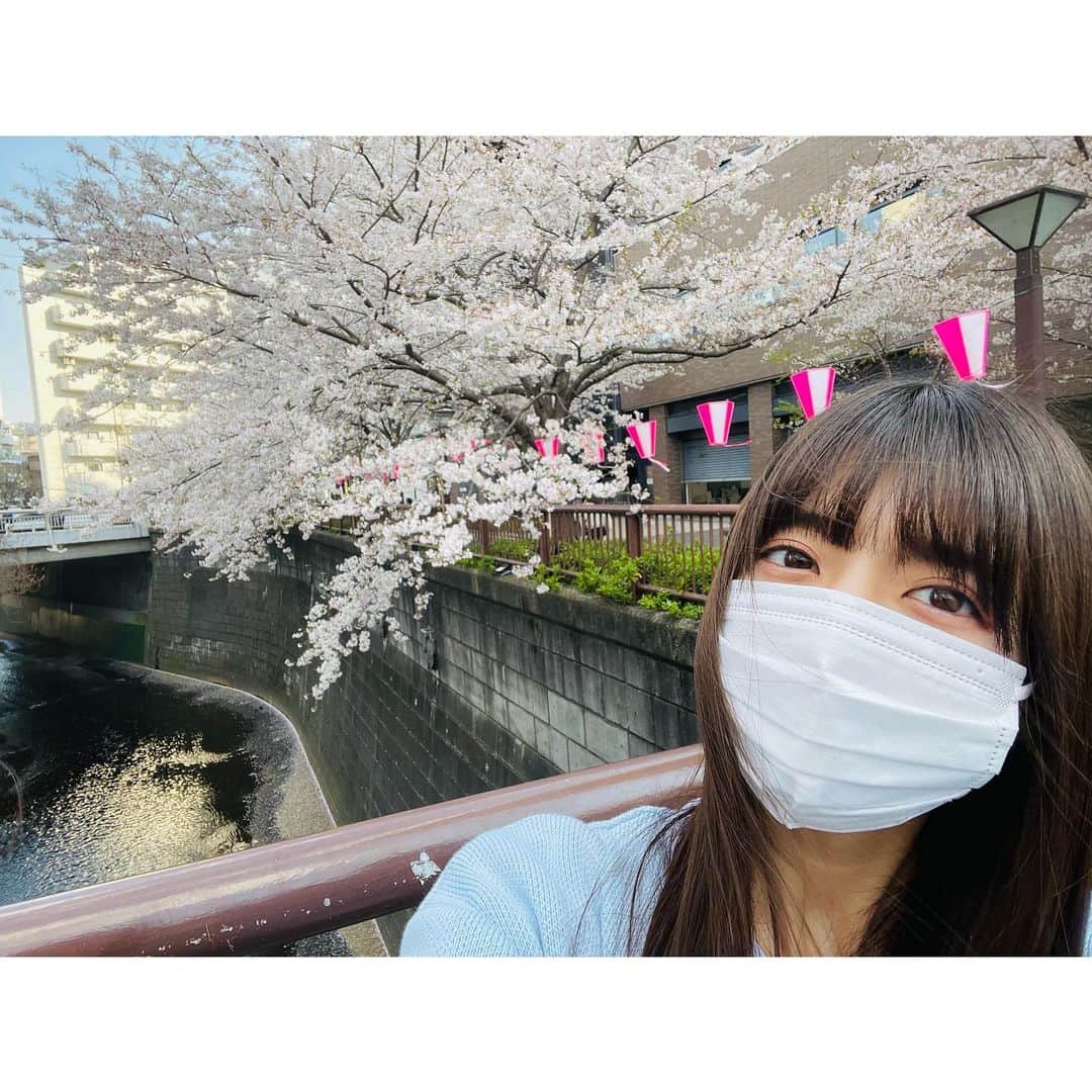 吉田綾乃クリスティーのインスタグラム：「🌸📸 撮ったり撮ってもらったり。」