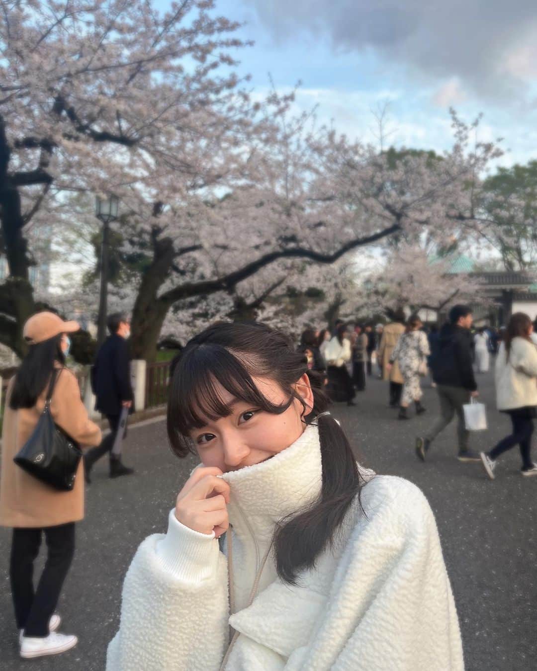 尾野寺みさのインスタグラム：「🌸」