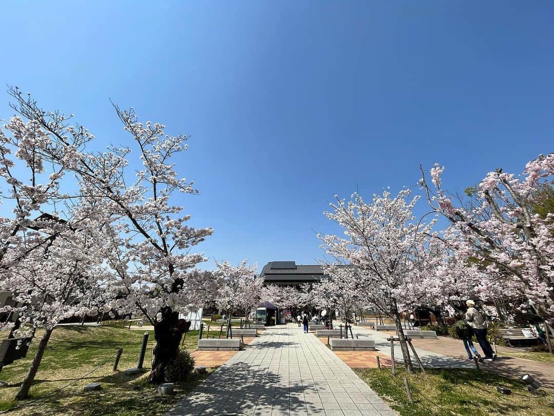 原田良也さんのインスタグラム写真 - (原田良也Instagram)「今日は桜満開の京都市動物園に家族で行ってきました🤩  めちゃくちゃ楽しかったー‼️  誘ってくれてありがとう😁  #京都市動物園 #桜」3月30日 22時03分 - irasshassee