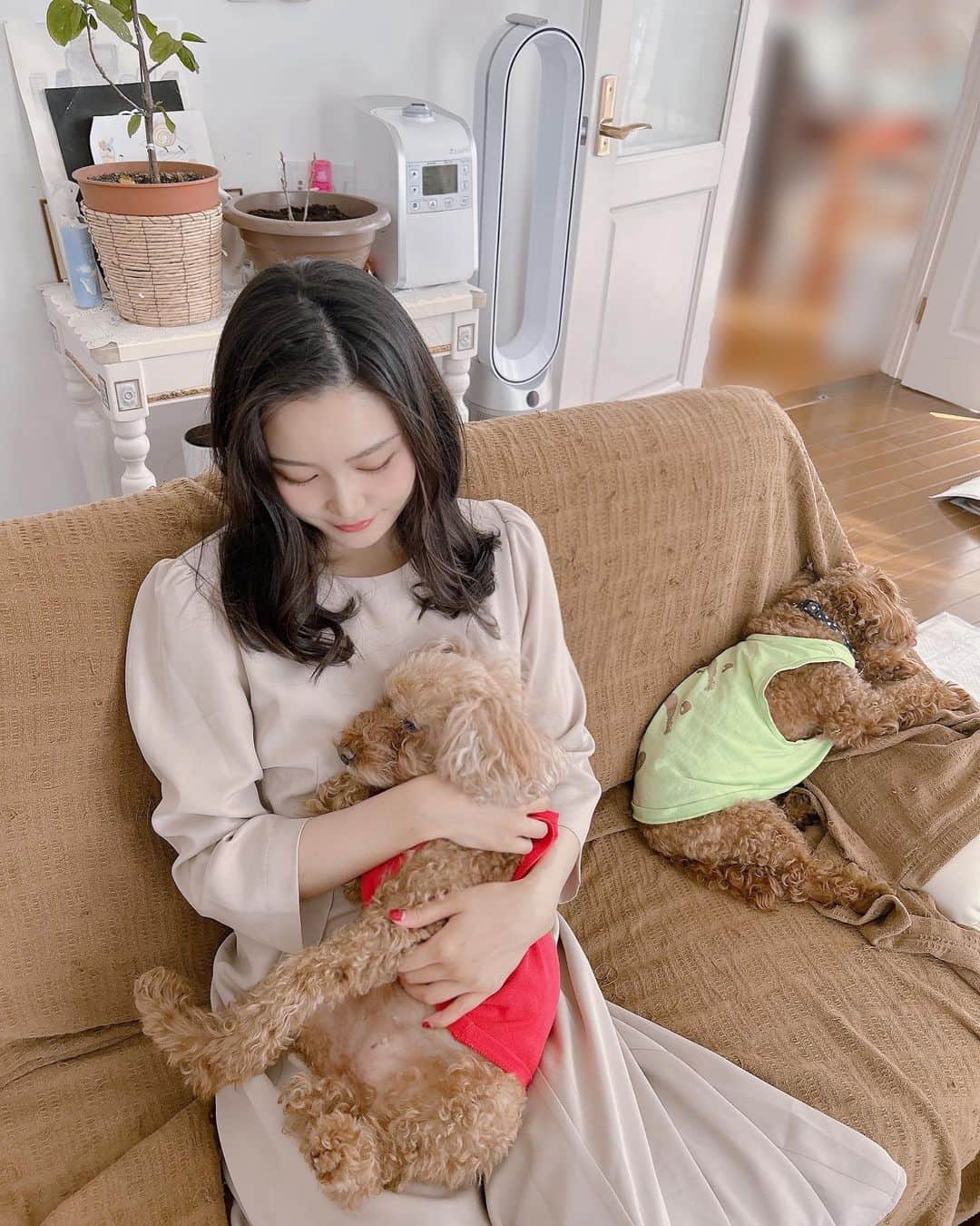 太田理恵のインスタグラム：「うちの子」