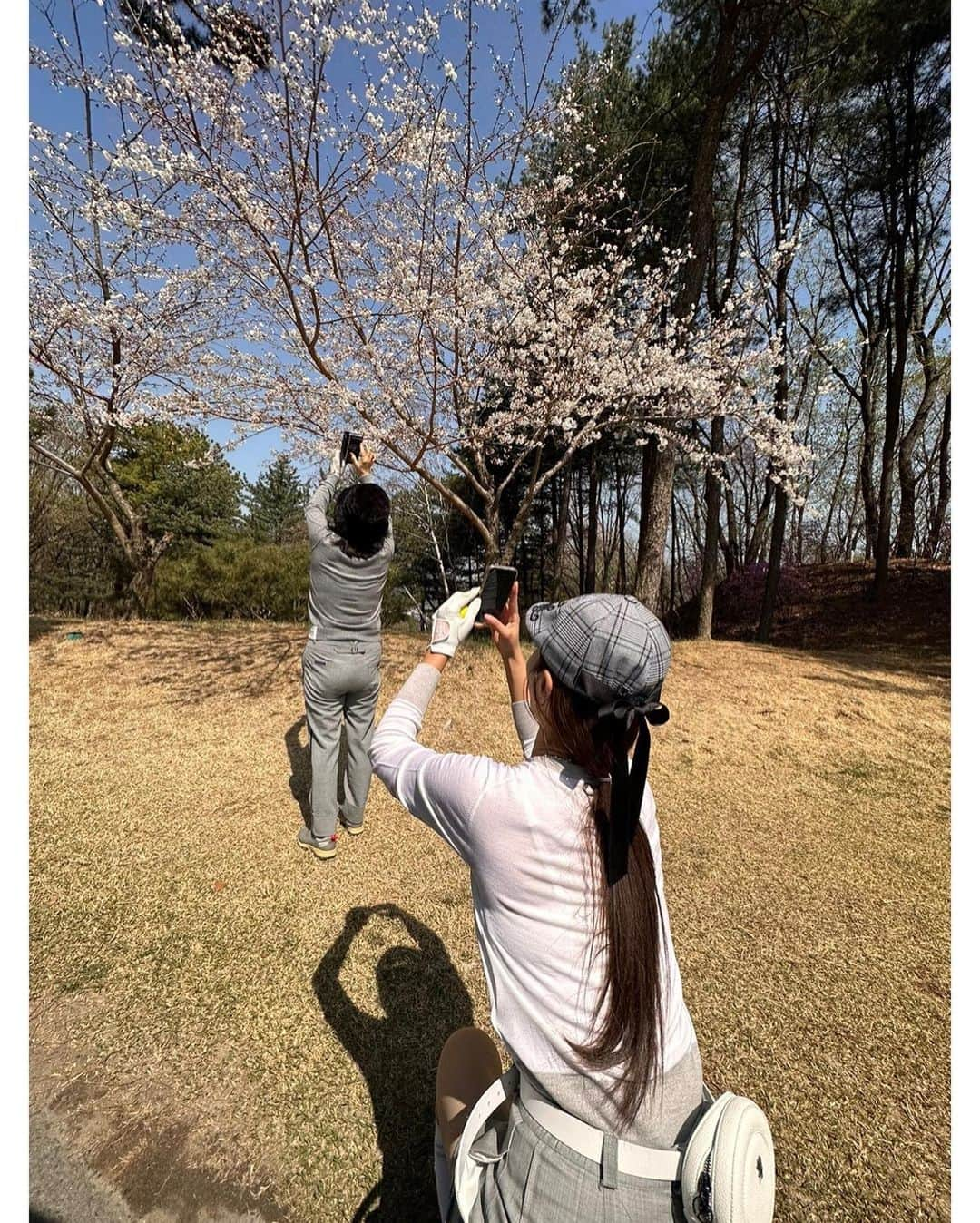 ユリ さんのインスタグラム写真 - (ユリ Instagram)「만나서 반가워 🧊 오늘 너를 만나서 라베를 갱신했어  너무 행복해용 ~ 자 , 이제 스텔스글로리야 본격적으로 퍼포먼스+스타일 늘려보자꾸나 잘부탁해요 🏌🏻‍♀️⛳️  #STEALTHGLOIREWOMENSDRIVER  #라이프베스트스코어🏌🏻‍♀️  #너무좋은사람들과함께라면베스트스코어베스트샷베스트날씨」3月30日 22時28分 - yulyulk