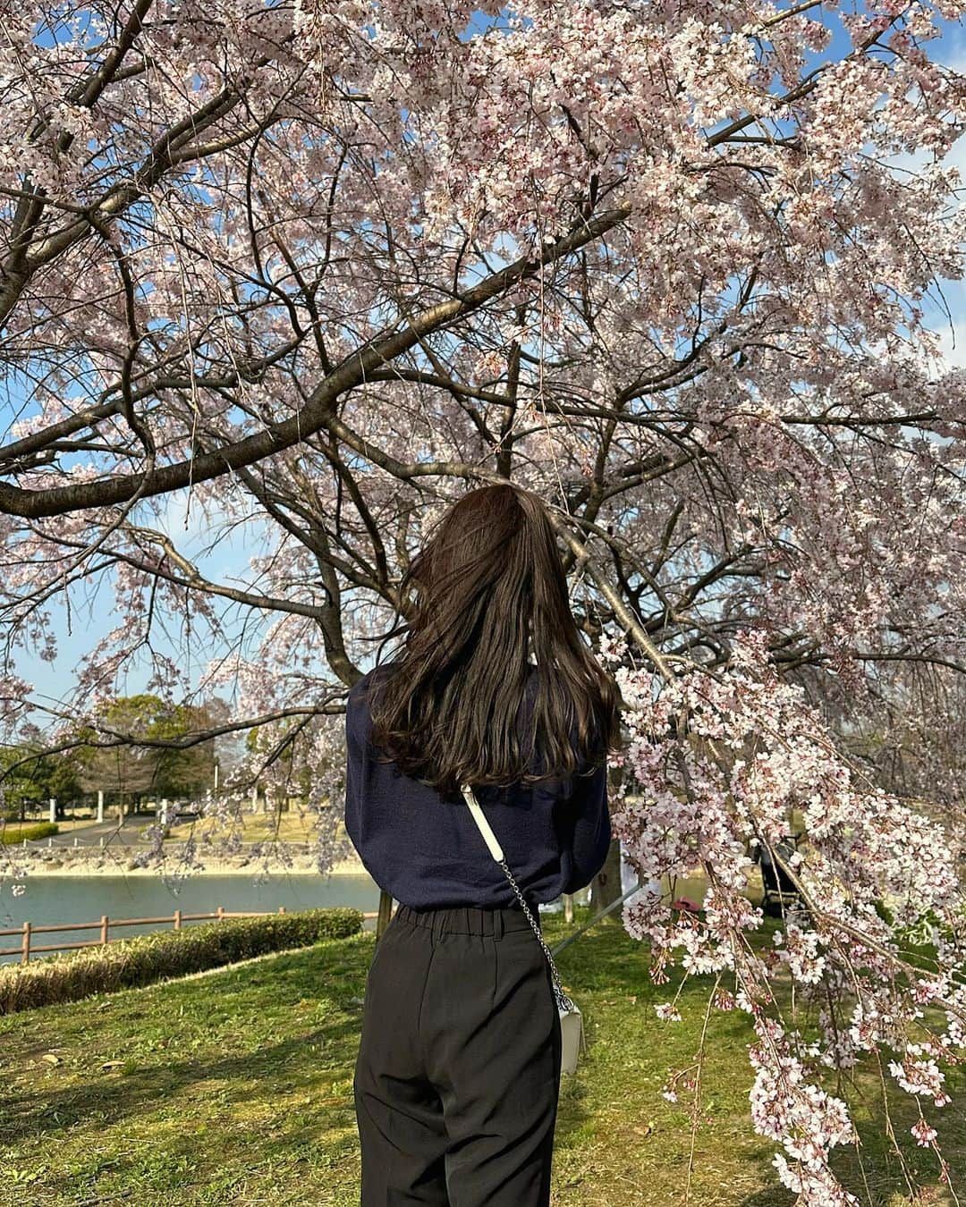 AYAKAさんのインスタグラム写真 - (AYAKAInstagram)「. まだ3月だけど綺麗に咲いてた🌸🍡 . #お花見 #お花見コーデ #お花見スポット #桜 #桜スポット #落合公園」3月30日 22時29分 - ___ayk0125