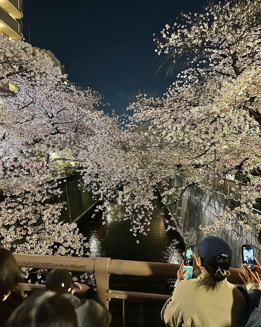 辻満里奈さんのインスタグラム写真 - (辻満里奈Instagram)「夜桜🌸  映えそうな苺のカクテルは、大行列のため断念しました🍓泣  皆さんは、もうお花見しましたか？☺️🍡  #中目黒 #中目黒桜 #目黒川 #目黒川の桜 #中目黒桜まつり #夜桜 #夜桜ライトアップ #桜 #お花見 #アナウンサー #セントフォース #辻満里奈 #🌸」3月30日 22時21分 - marina__tsuji