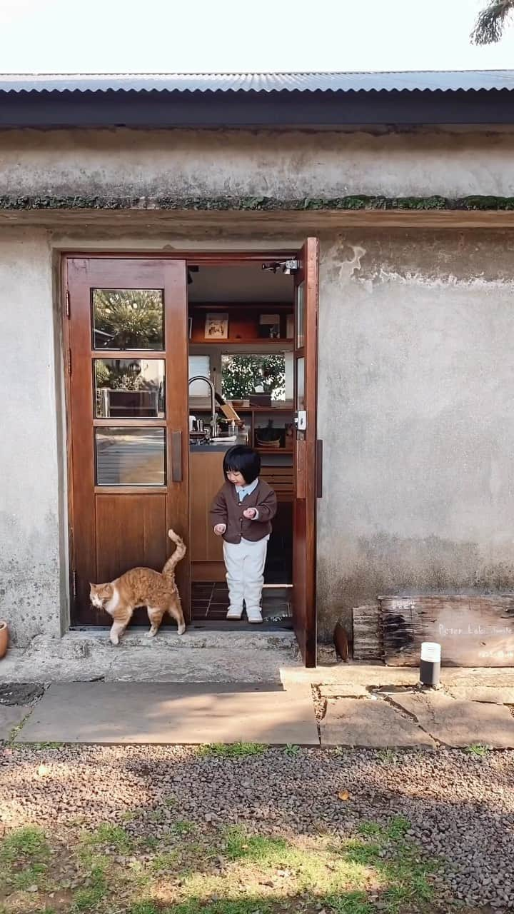 MOMOツインズのインスタグラム：「Harvesting radish is soul satisfying! Little ones thoroughly enjoying farm life at @daily_songdang Love it when the stay becomes the experience 🥬 @stayfolio_global」