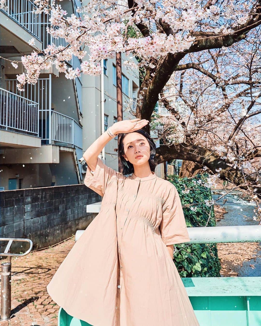masayuki nittaのインスタグラム：「. 🌸」