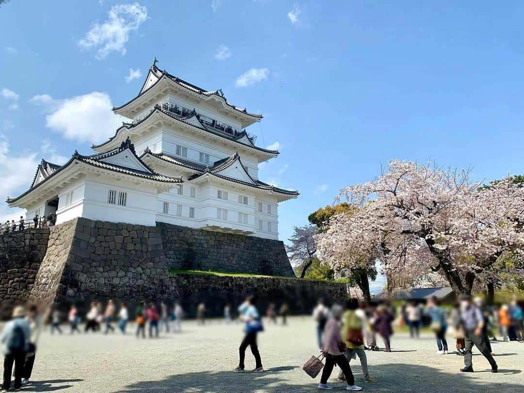 久保井朝美のインスタグラム