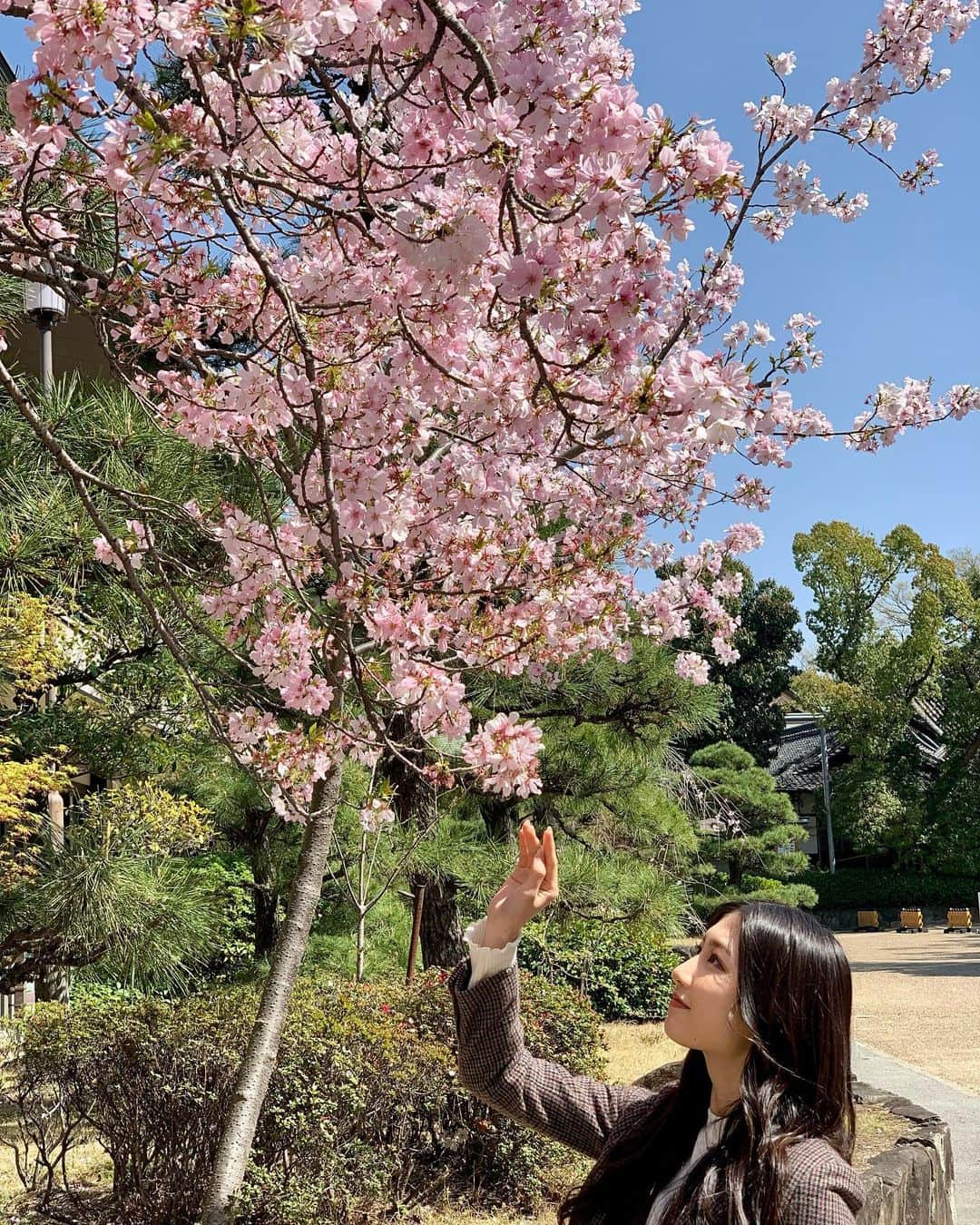 塩月希依音さんのインスタグラム写真 - (塩月希依音Instagram)「🌸🤍  #さくら#桜#お花見#花見#cherryblossom #jk#sjk#05#05년생 #05line」3月30日 22時36分 - keito.shiotsuki