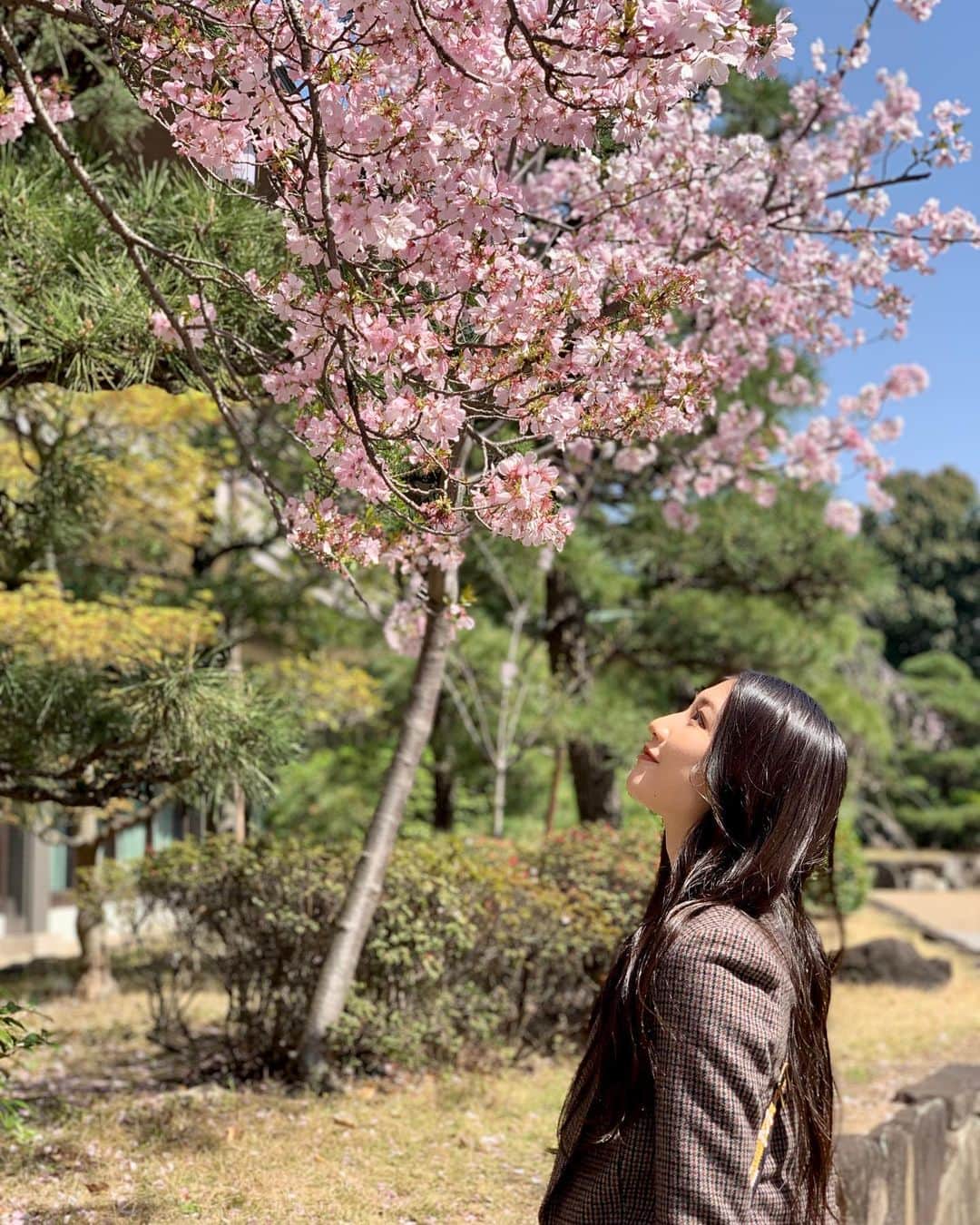 塩月希依音のインスタグラム：「🌸🤍  #さくら#桜#お花見#花見#cherryblossom #jk#sjk#05#05년생 #05line」
