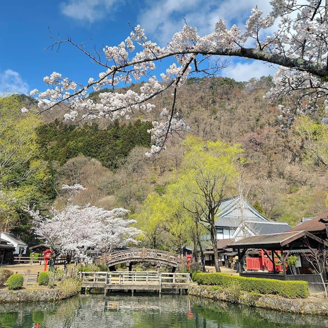 のインスタグラム：「・ 桃源郷 | paradise🌸 春爛漫 Spring full bloom ・　 ・ #edo #edowonderland #nikko #hanami #桜 お花見 #いざ江戸へドロン #江戸の風景 #春の江戸 #江戸人 #日光 #テーマパーク #江戸時代 #江戸ワンダーランド日光江戸村」