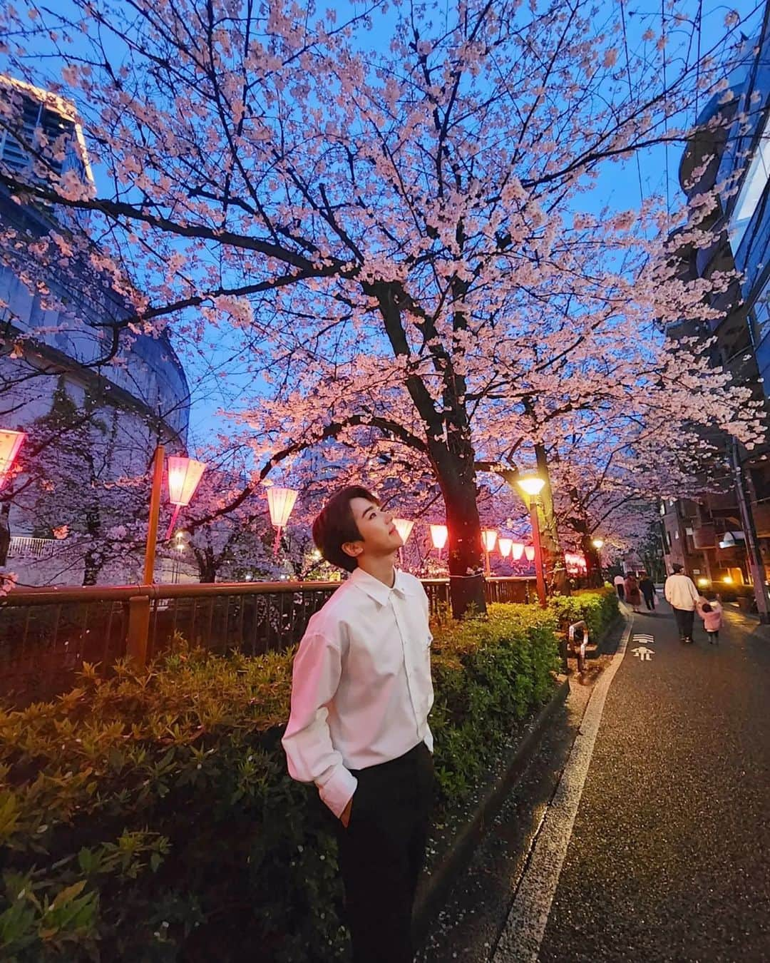 ロクヒョンさんのインスタグラム写真 - (ロクヒョンInstagram)「🌸」3月30日 22時57分 - k_rockhyeon