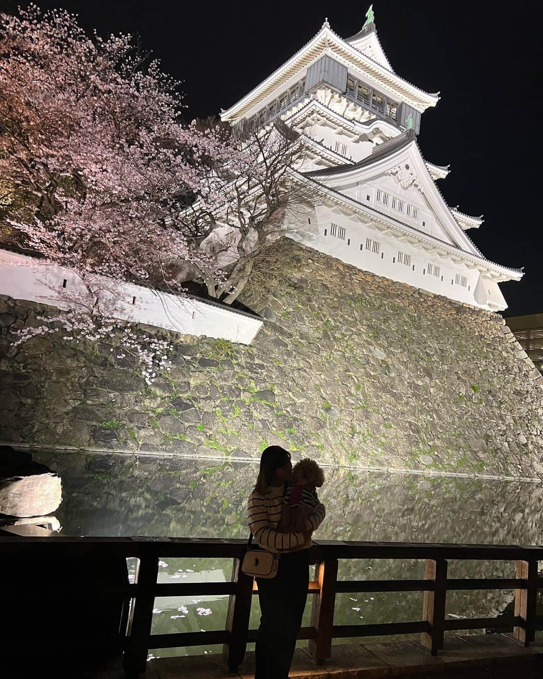 佐伯珠音のインスタグラム：「夜桜🌸  #自分は見えないけど  #ちょうどいい #桜 #小倉城 #🌸」