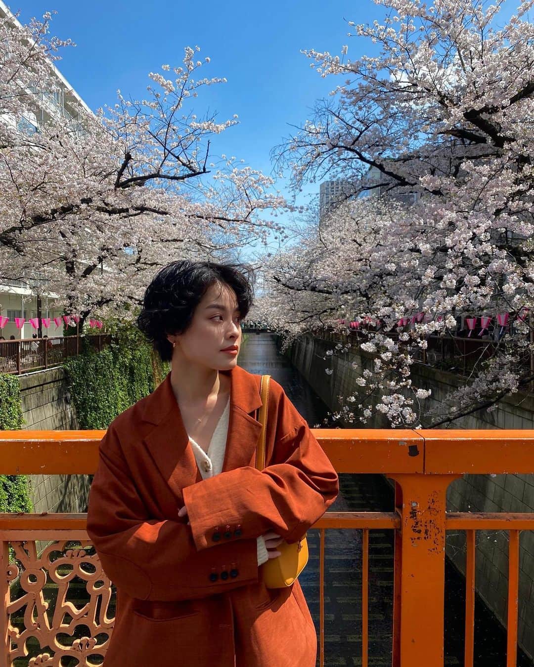 雨森はなこのインスタグラム：「春だねぇ桜だねぇ🌸 今年はなんだかメインの桜ももちろんキレイで見惚れたけど、元気のいい新芽ちゃんが可愛くて気になって新芽ちゃん見てはワクワクさせてもらっておった😂笑 最後の動画、鳥さんと桜吹雪がゆったりのんびりで自分で撮っておきながら見返したら好きな動画だった😳🫣 #instagood#instadaily#桜#花見#春#sakura#お花見#散歩」