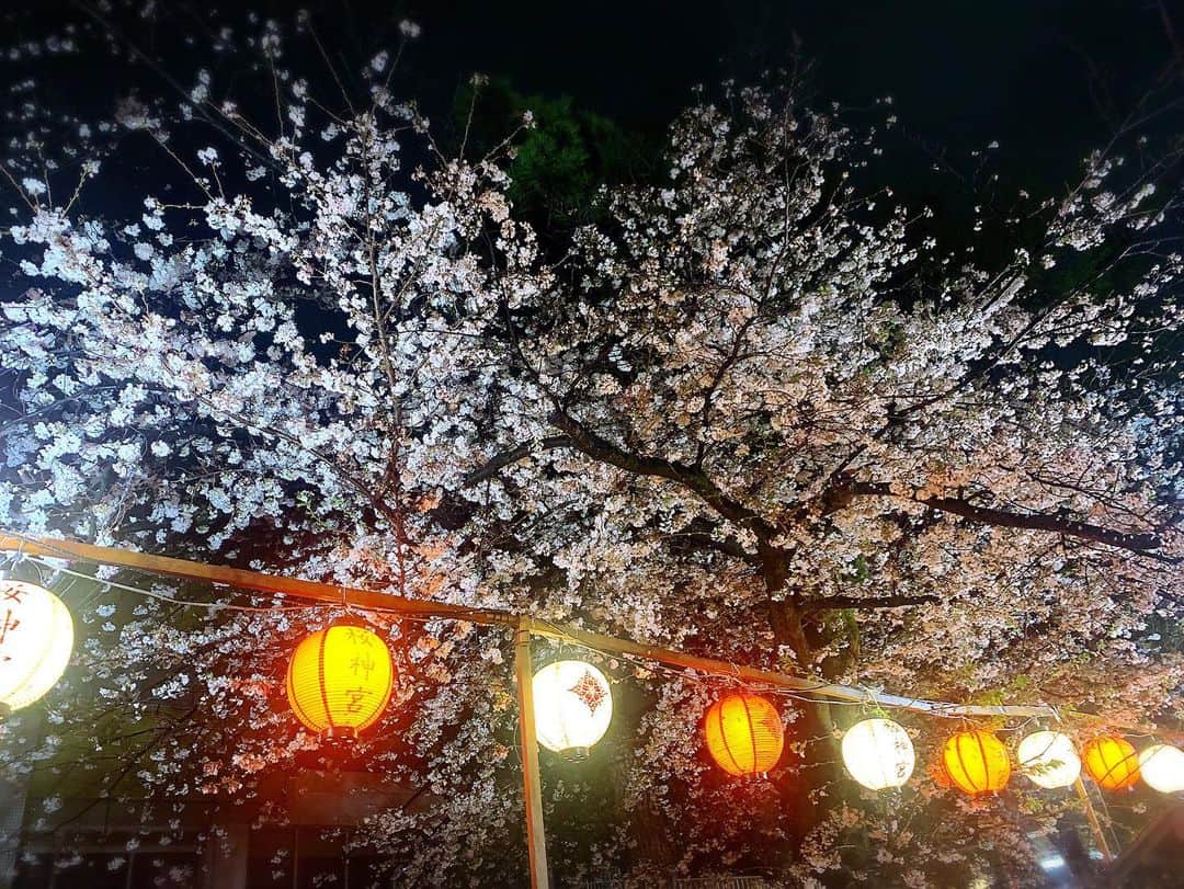 永吉明日香のインスタグラム：「"人生は一度きりだから、自分の道に舞い込んでくることを、面白がって生きてみようと思っている。足踏みしていられるほど人生はきっと長くはなく、あらゆる雑音や偏見がつきまとうこの世の中で、自分の心と直感に従って生きることが、今のところ唯一の正解だと思っている。"📝  ほんの一部だけど。朝から本当に心がほかほかした。☺️ #メモ」